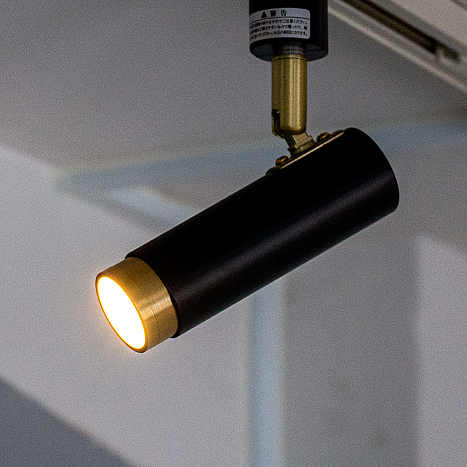 LED スポットライト 1灯 ノーシュ リモコンセット シーリングライト ダウンライト おしゃれ 照明器具 インテリア 北欧 カフェ モダン キッチン 調光 調色 アプリ対応 スマートスピーカー対応 
