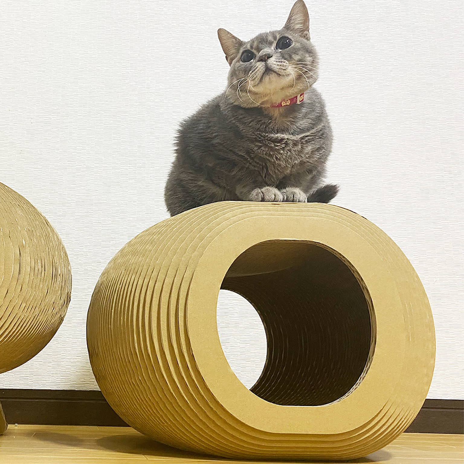 猫用インテリア・猫用家具