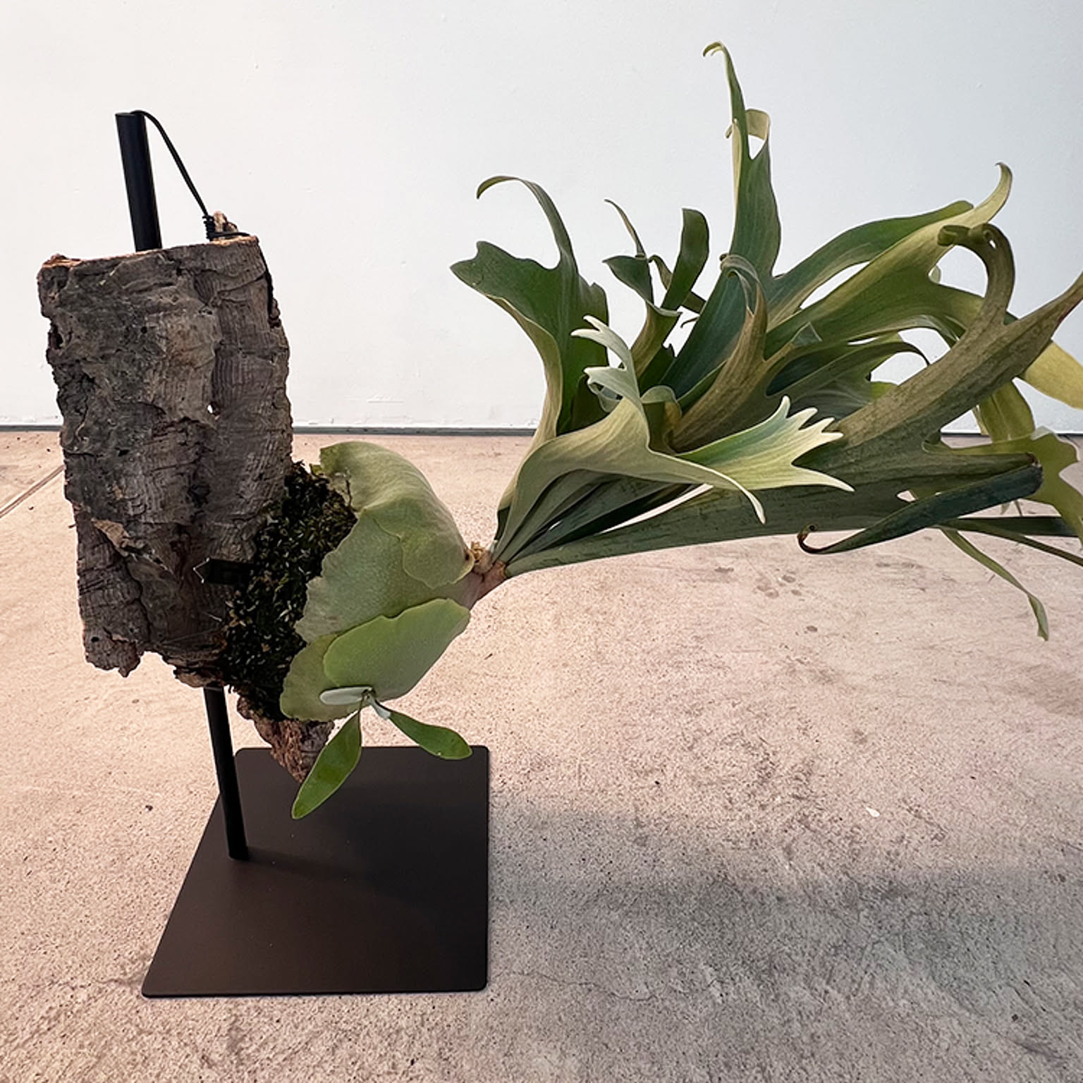 フラワースタンド・花台