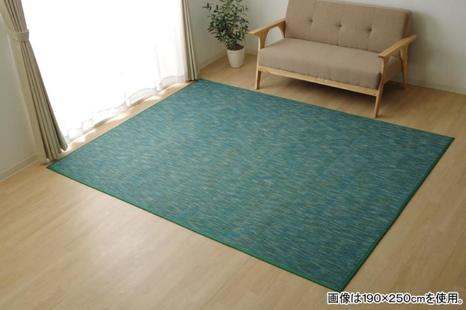 ラグ カーペット 無地 シンプル バンブー 竹 『DXフォース』 グリーン 約190×300cm【グリーン】 