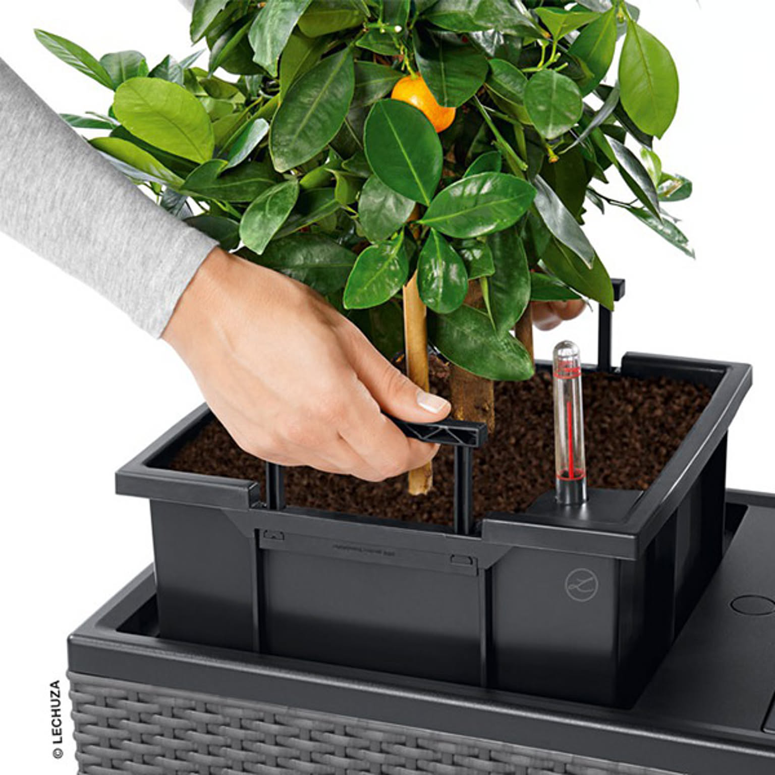 プランター・植木鉢