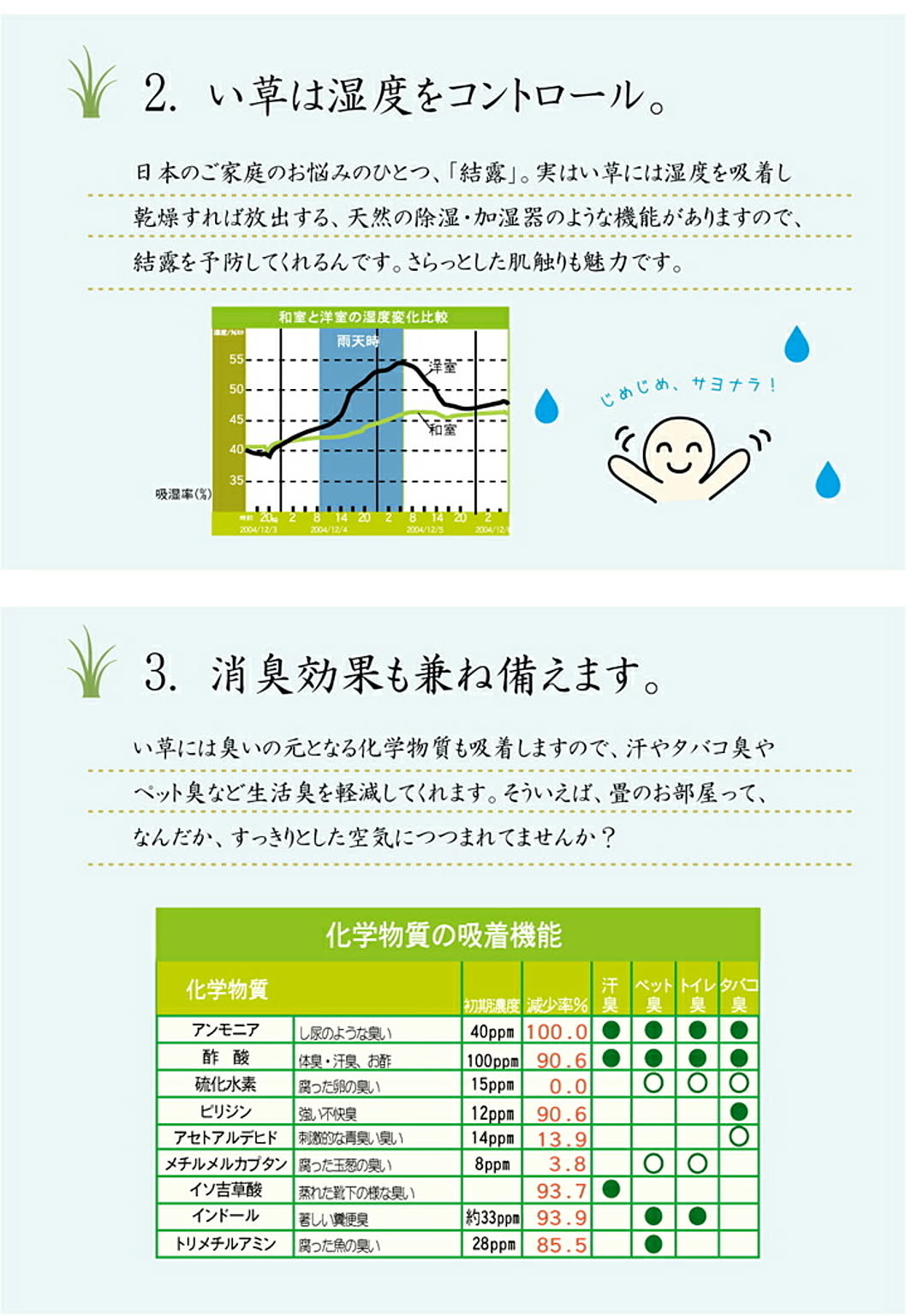 ござ・い草ラグ