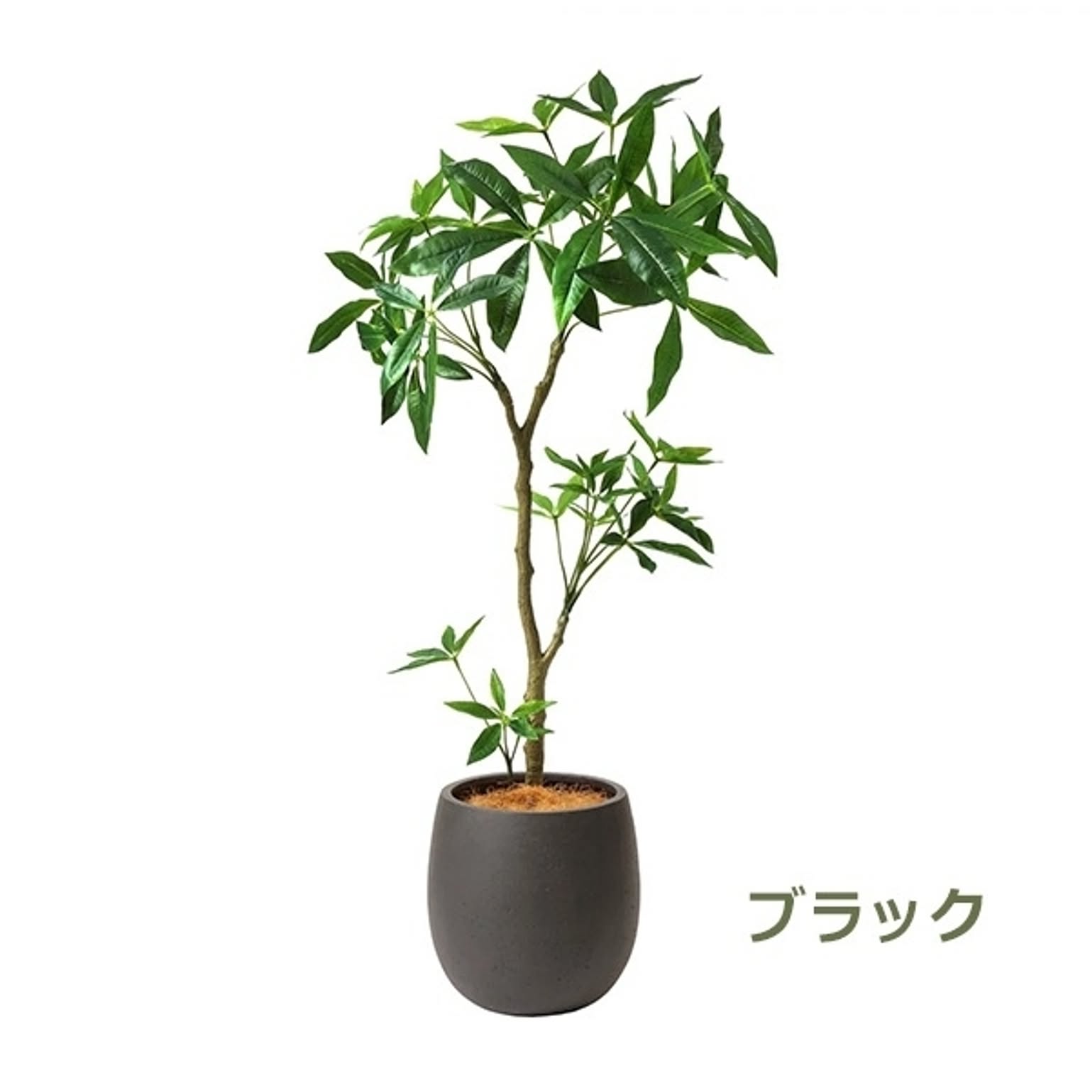 フェイクグリーン