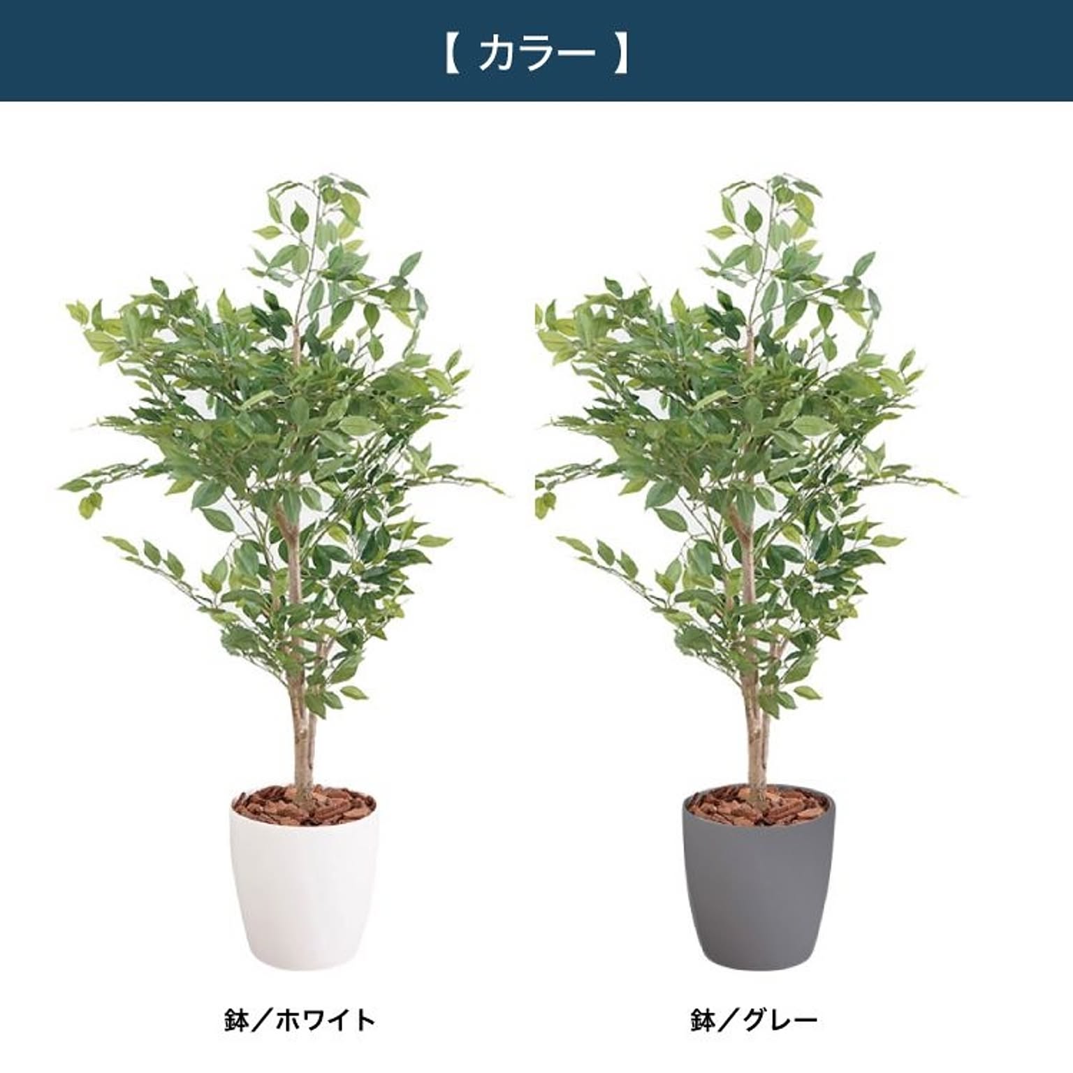 フェイクグリーン