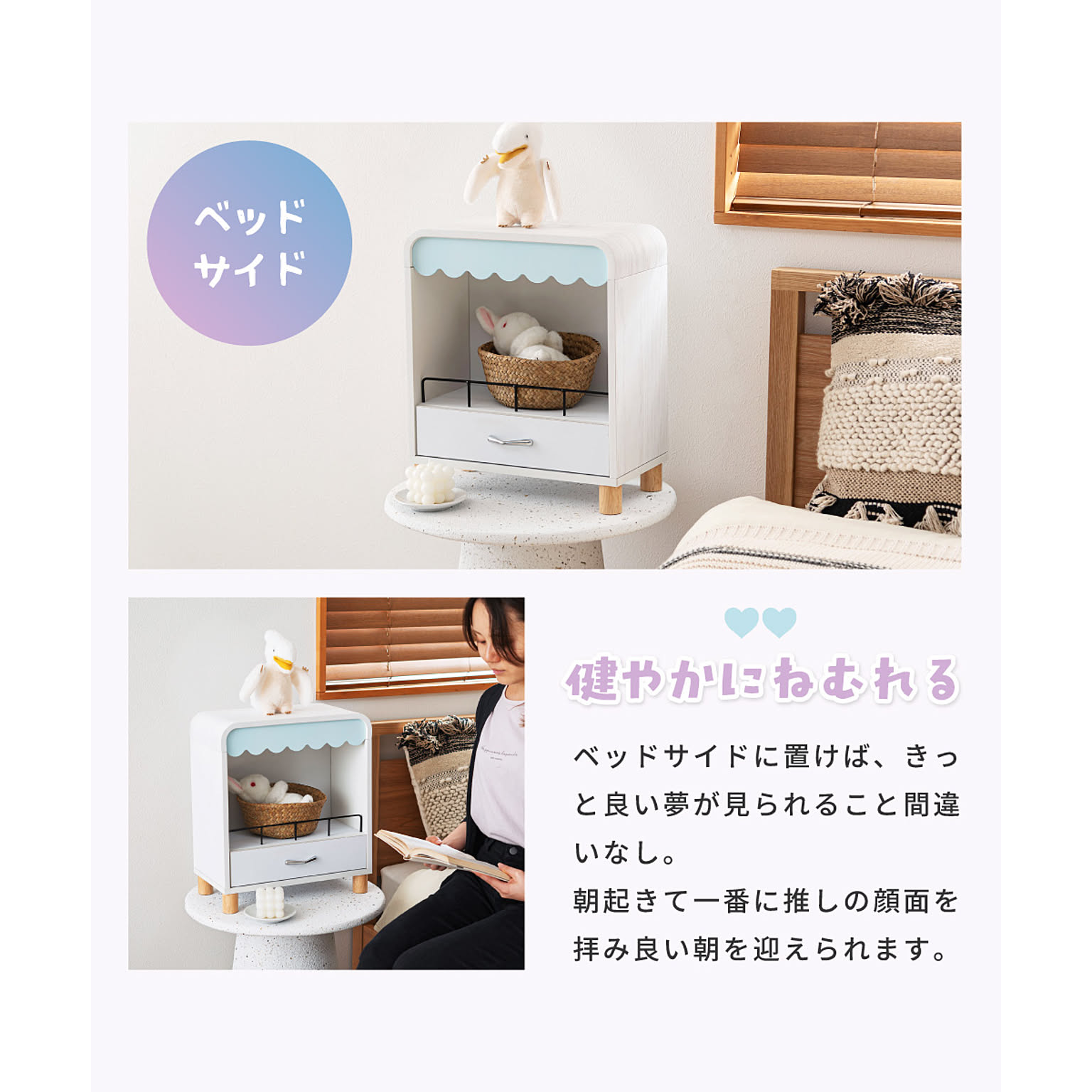 コレクションケース