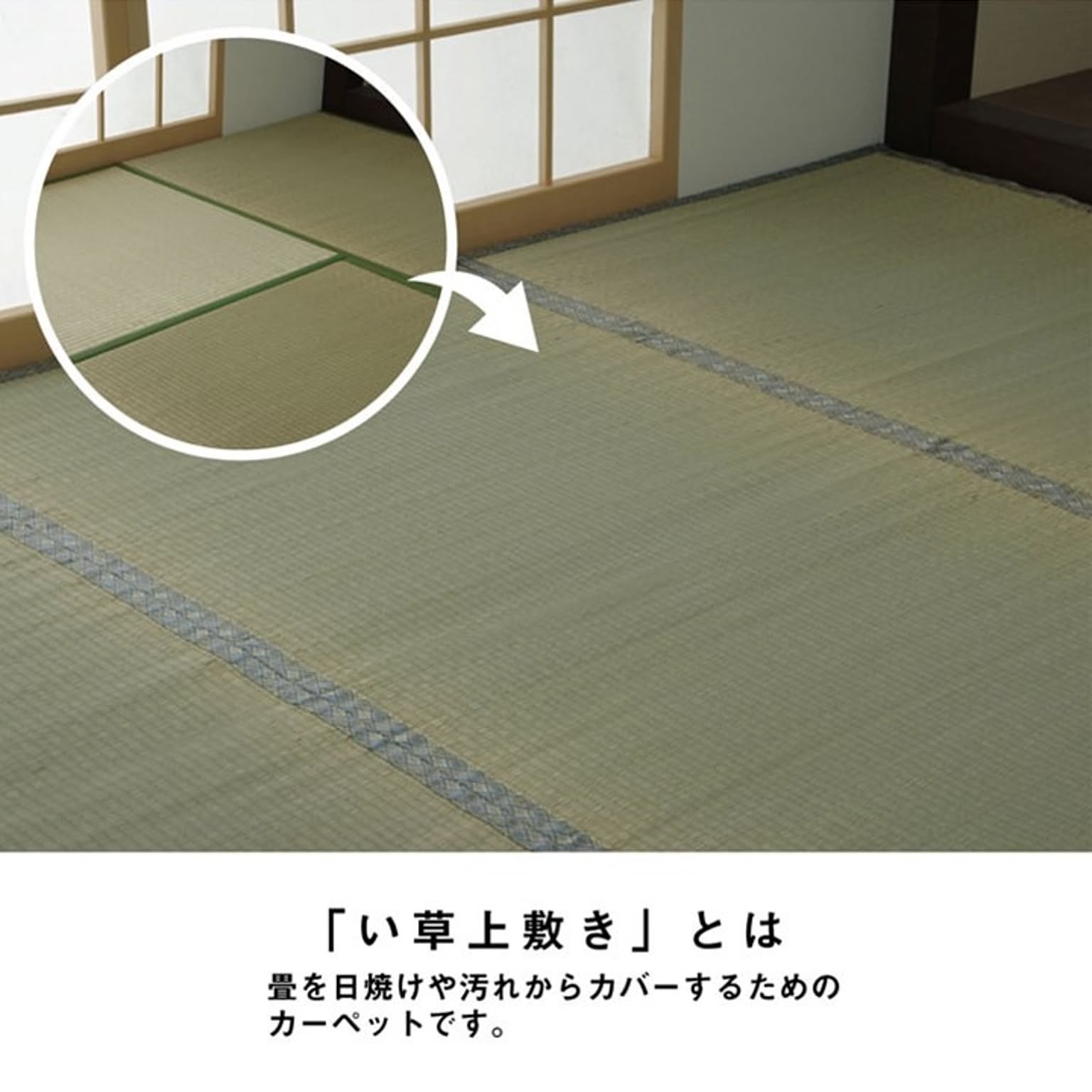 ござ・い草ラグ
