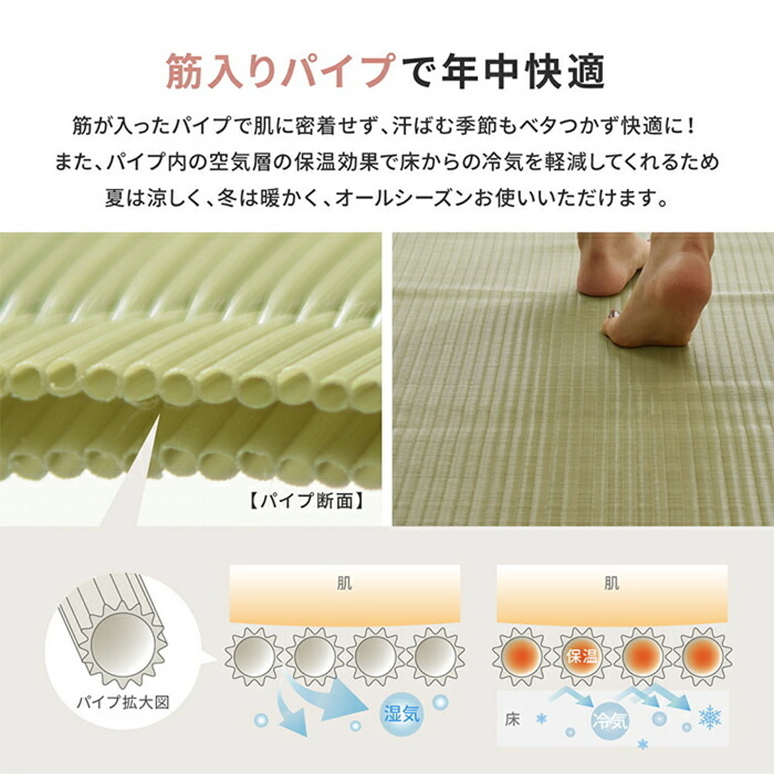 ござ・い草ラグ