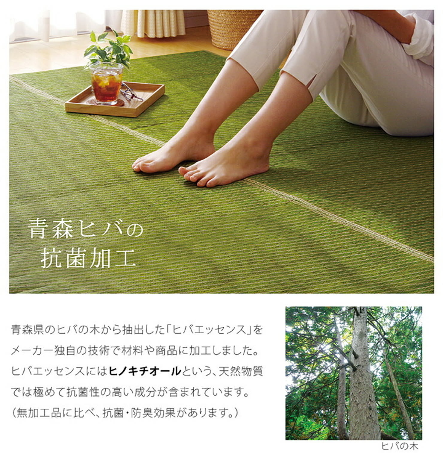 ござ・い草ラグ