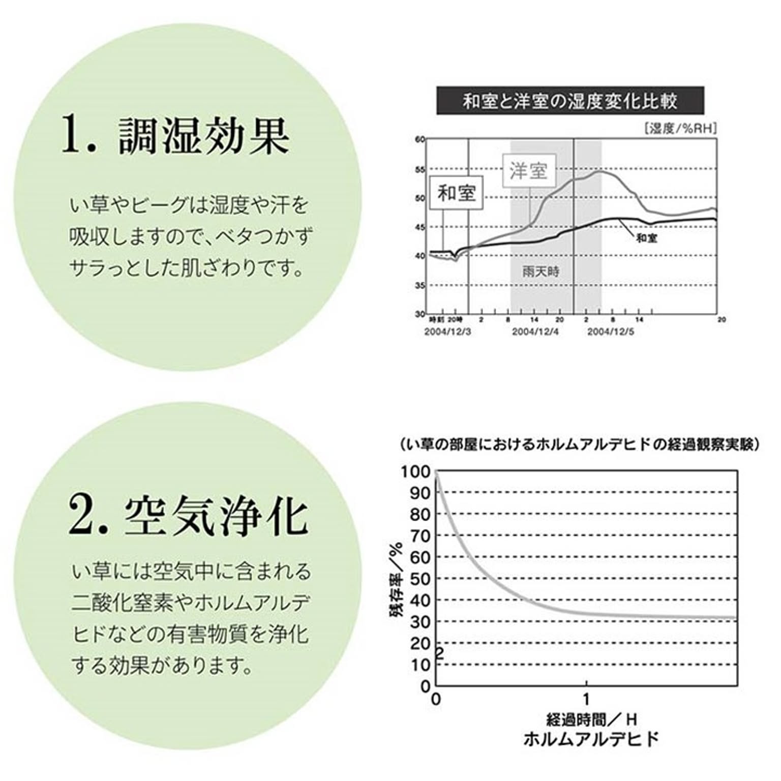 ござ・い草ラグ