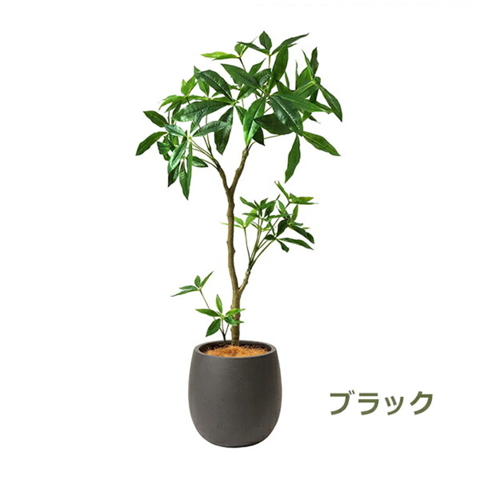 フェイクグリーン