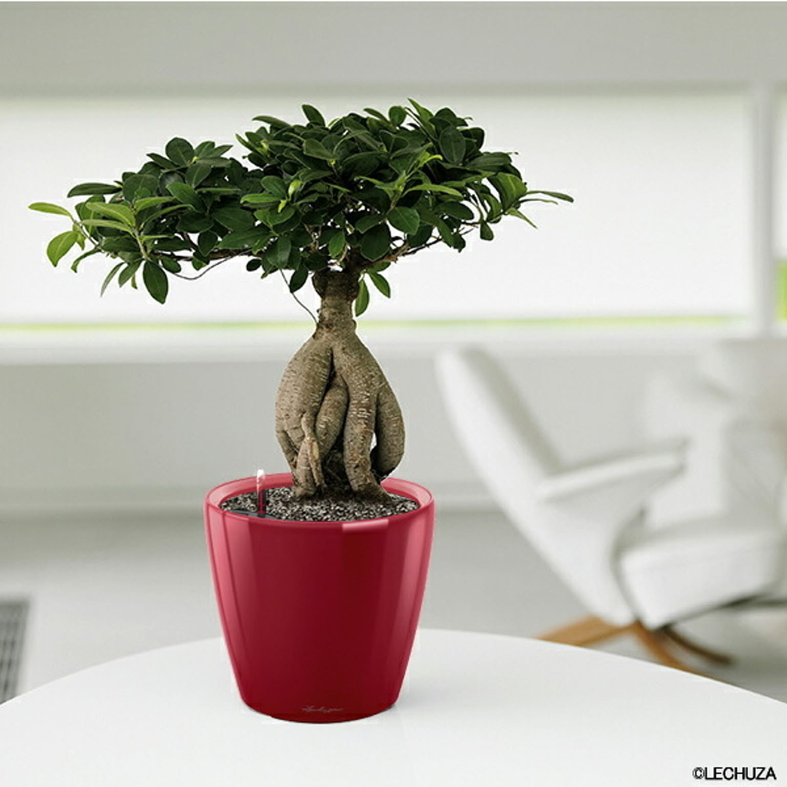 プランター・植木鉢