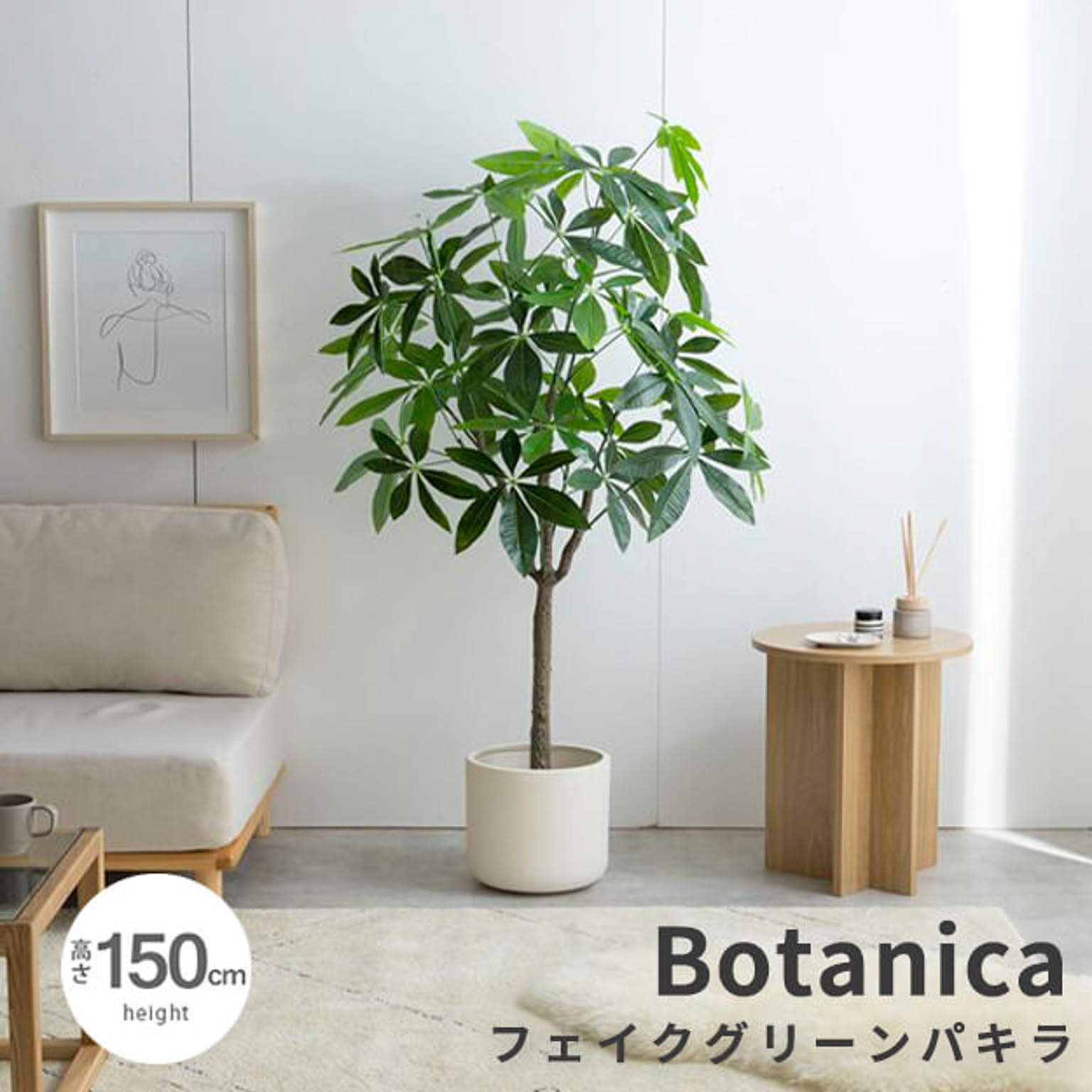 観葉植物