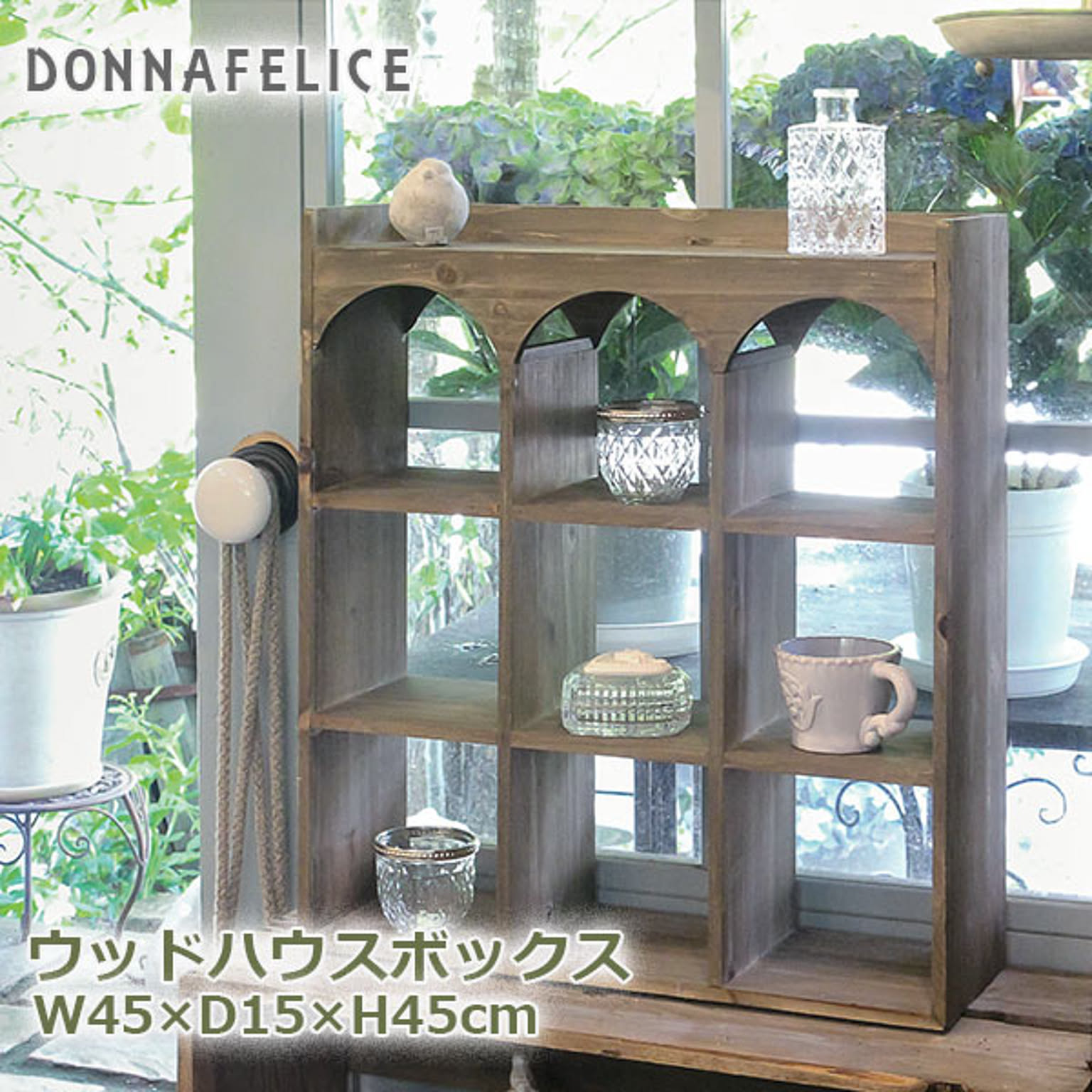 コレクションケース