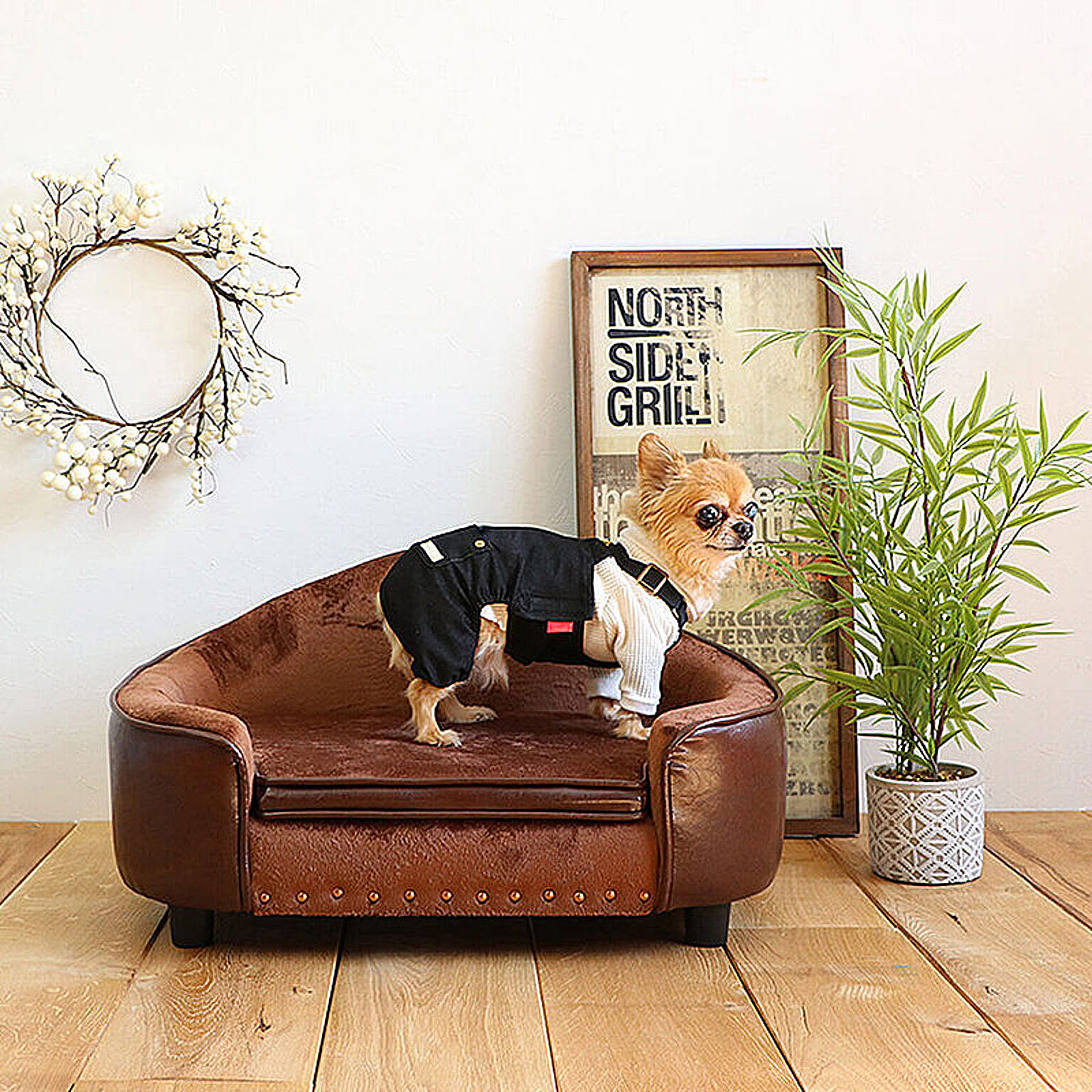 犬用インテリア・犬用家具