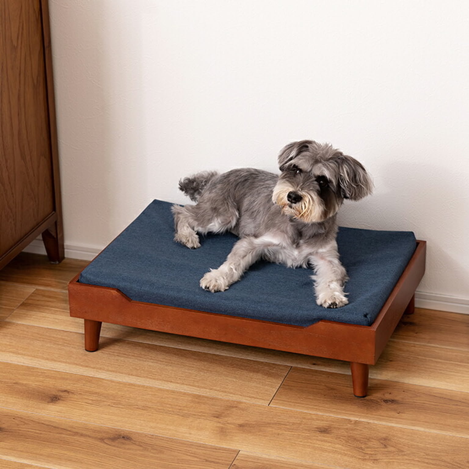 犬用インテリア・犬用家具