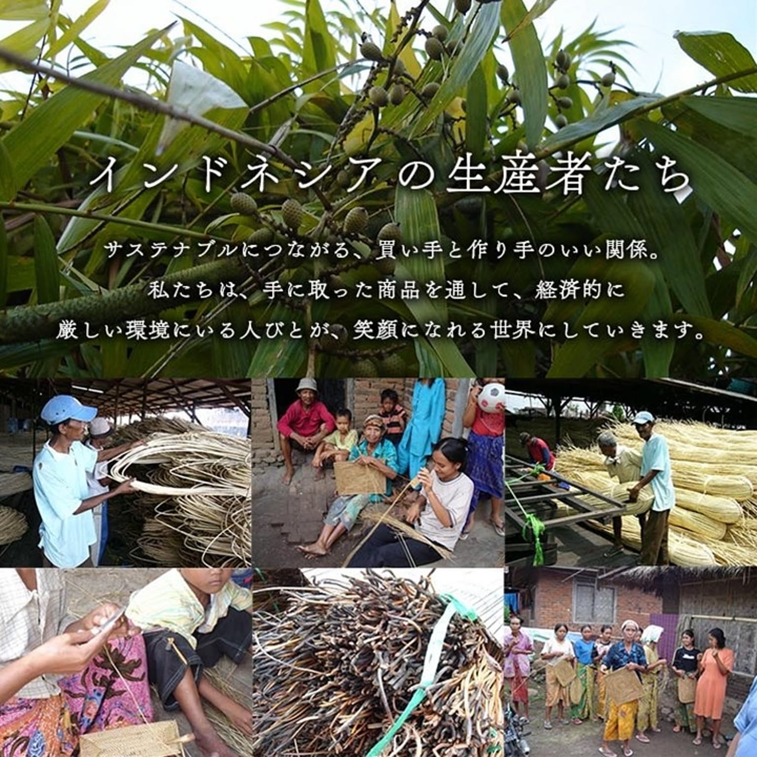 ござ・い草ラグ