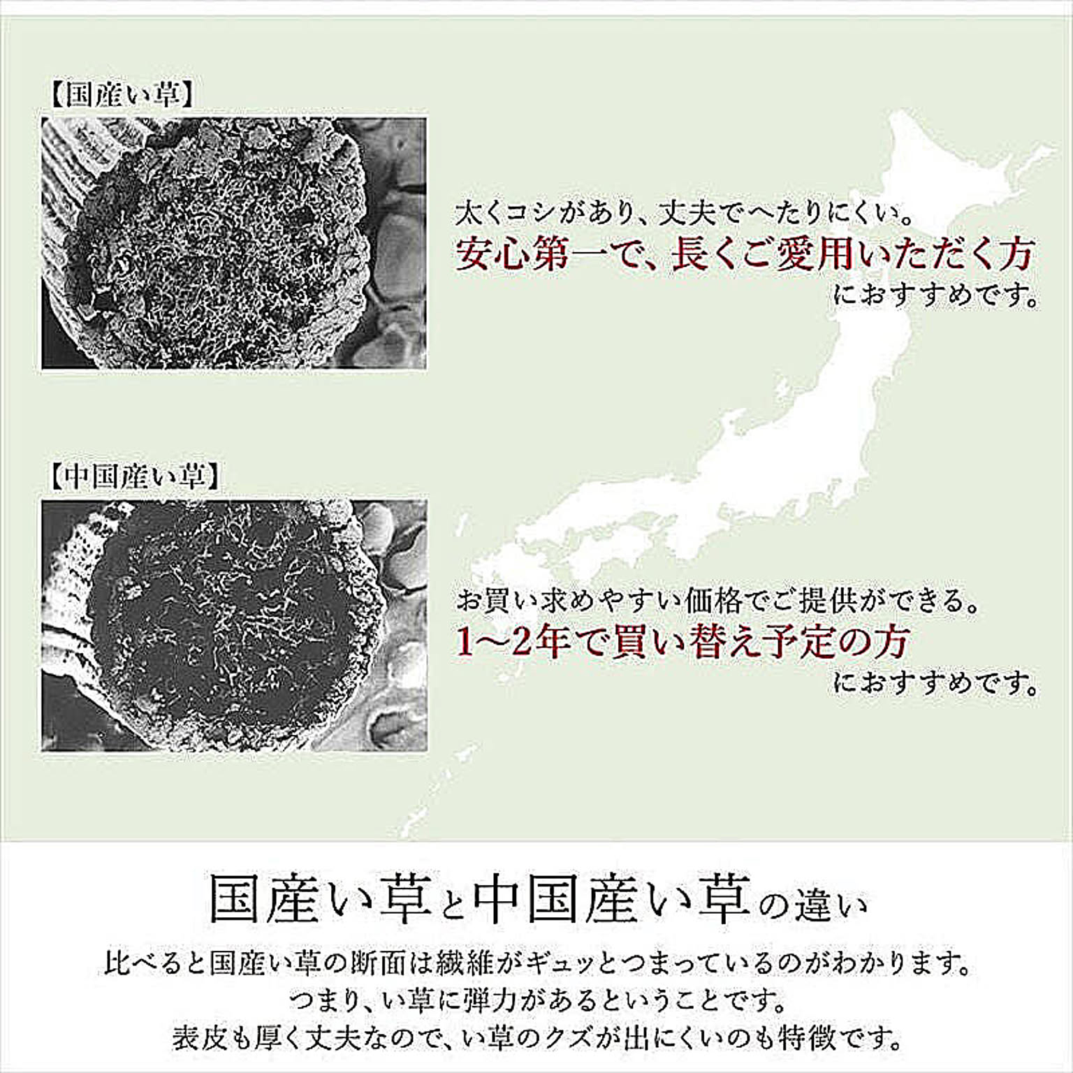 ござ・い草ラグ