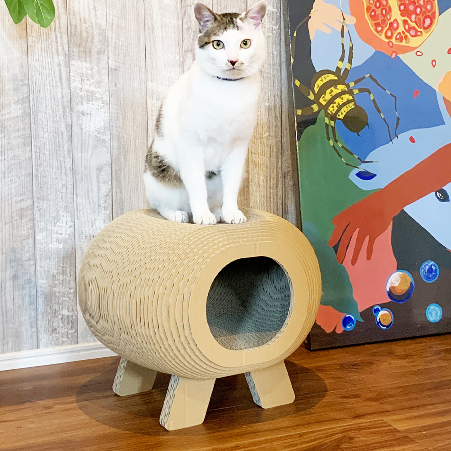 猫用インテリア・猫用家具