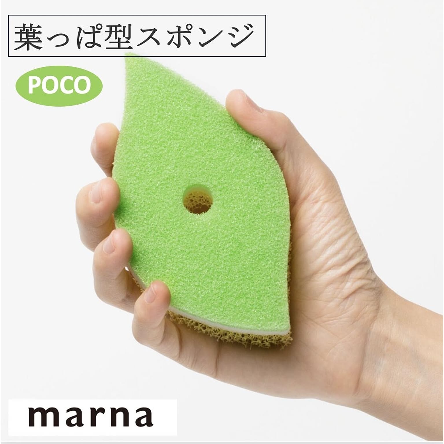 スポンジ