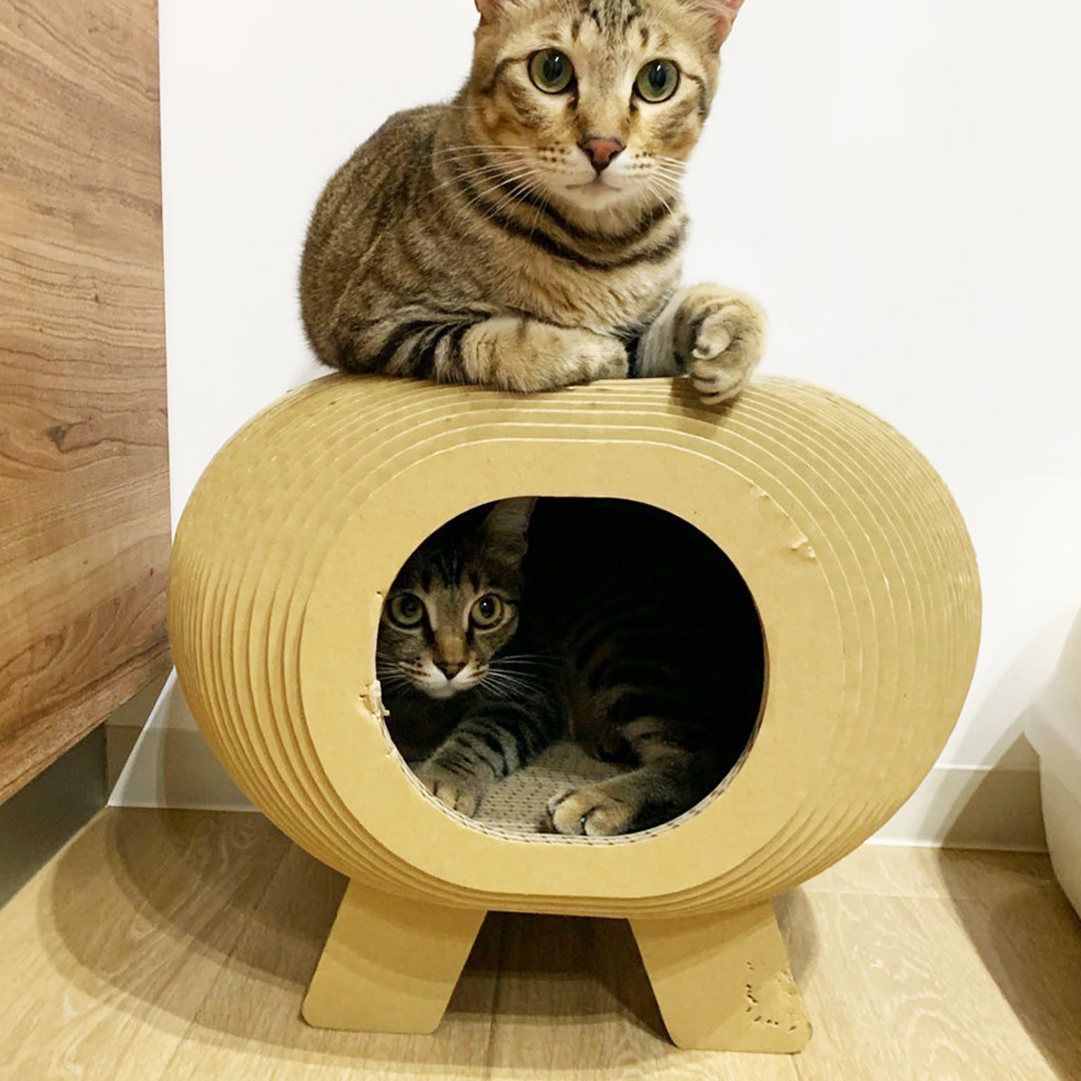 猫用インテリア・猫用家具