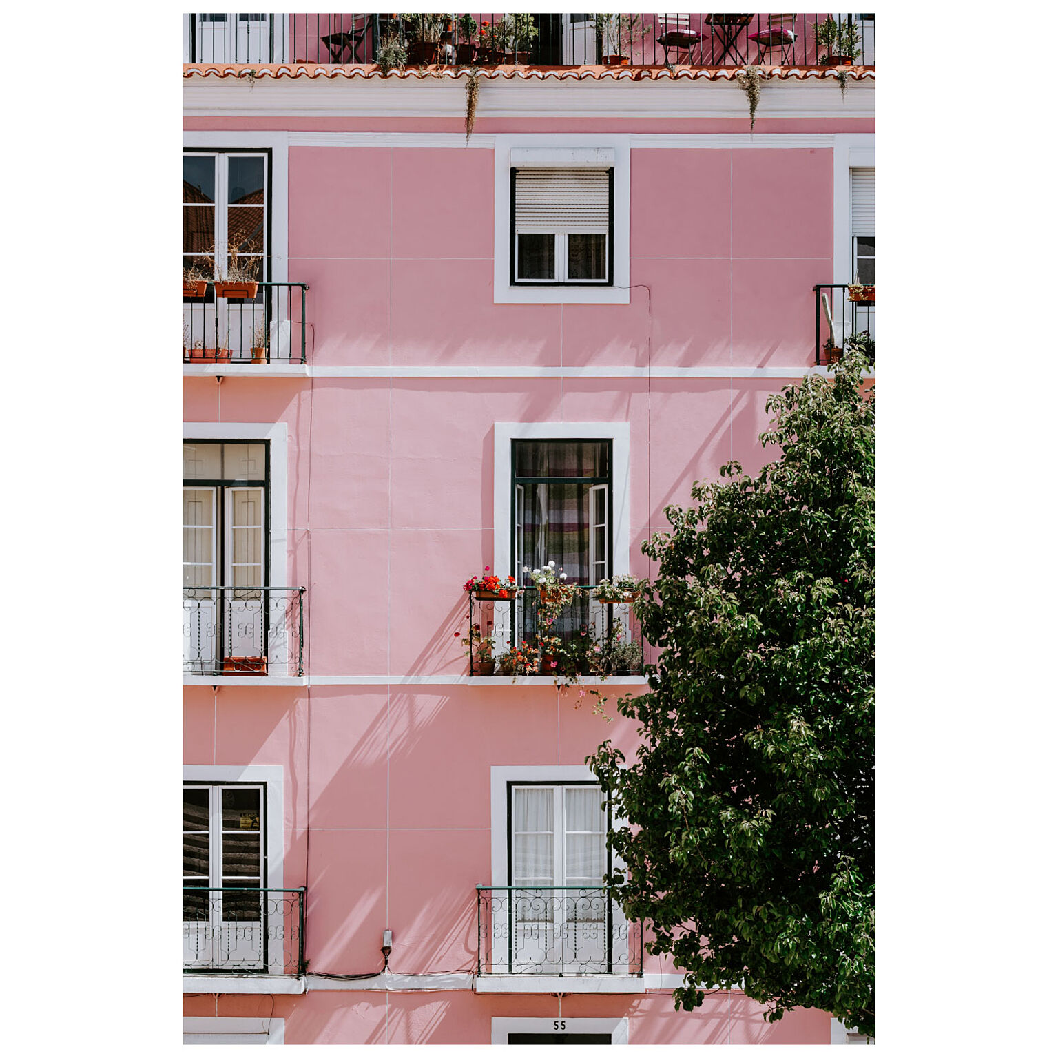 【Bauhaus Japan】Immeuble en rose/アートポスター/モダンポスター/バウハウスポスター/フレーム付き