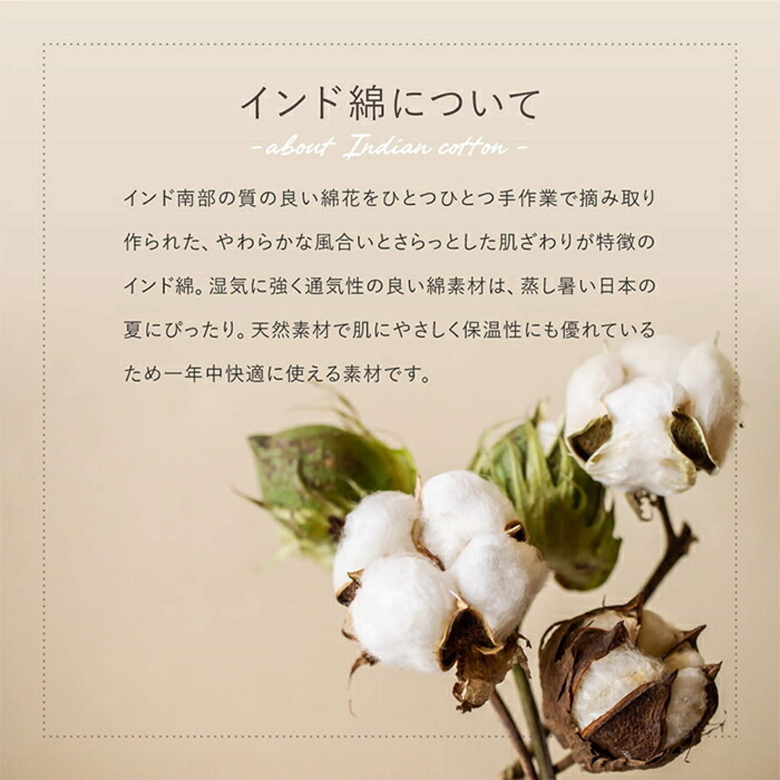 ラグ