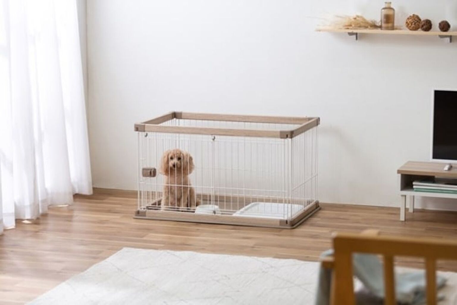 犬用インテリア・犬用家具