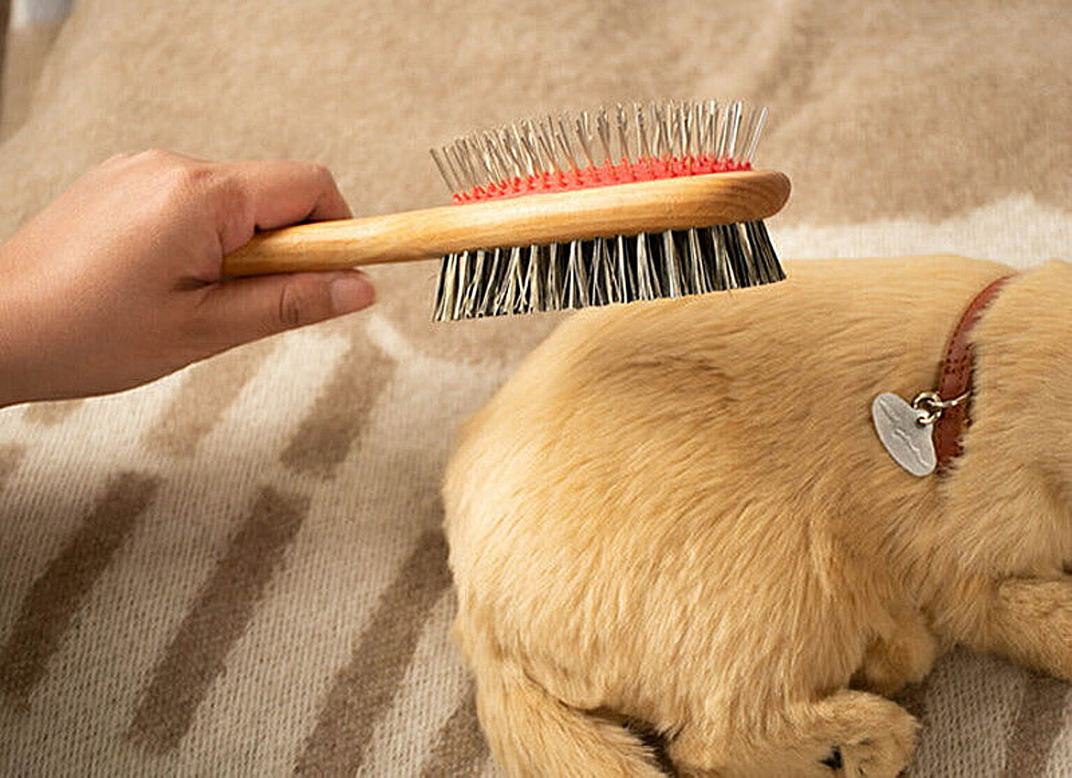REDECKER ドッグブラシ（メタルピン×混合繊維） Dog Brush, Fibre / Union 通販 家具とインテリア