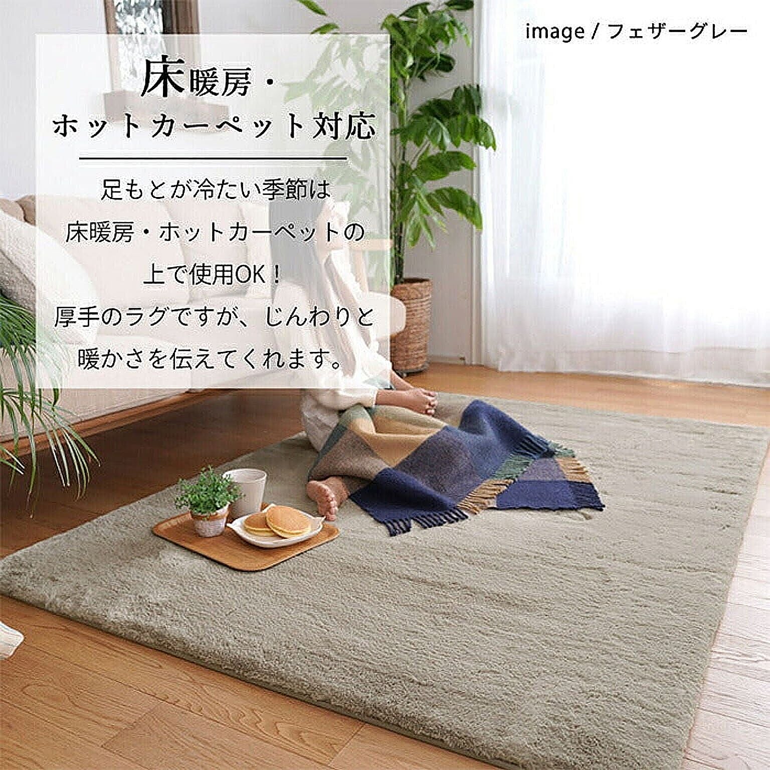 ラグ