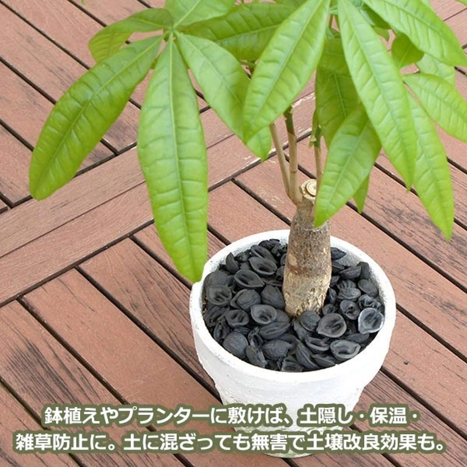 園芸用品