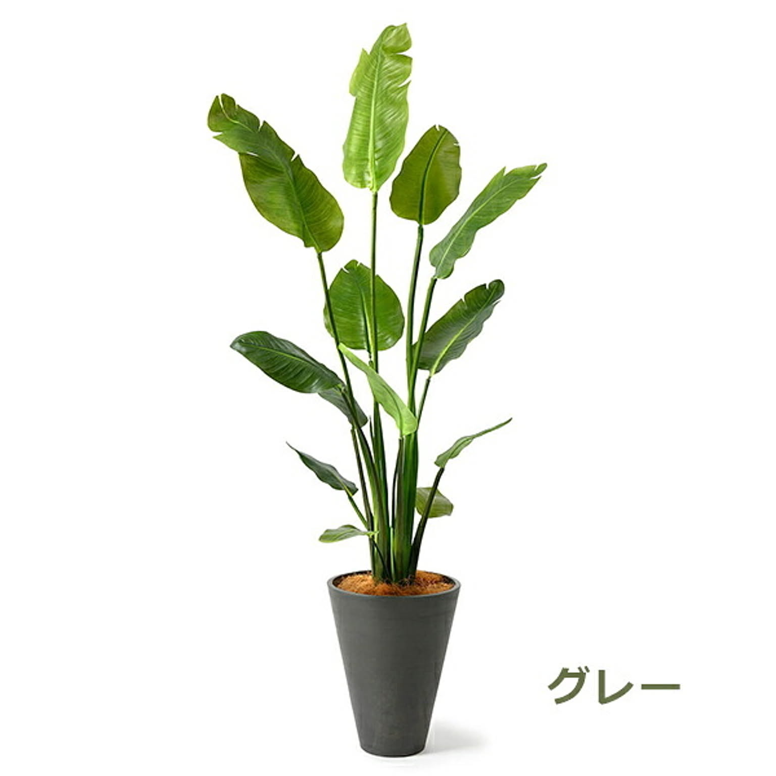 フェイクグリーン