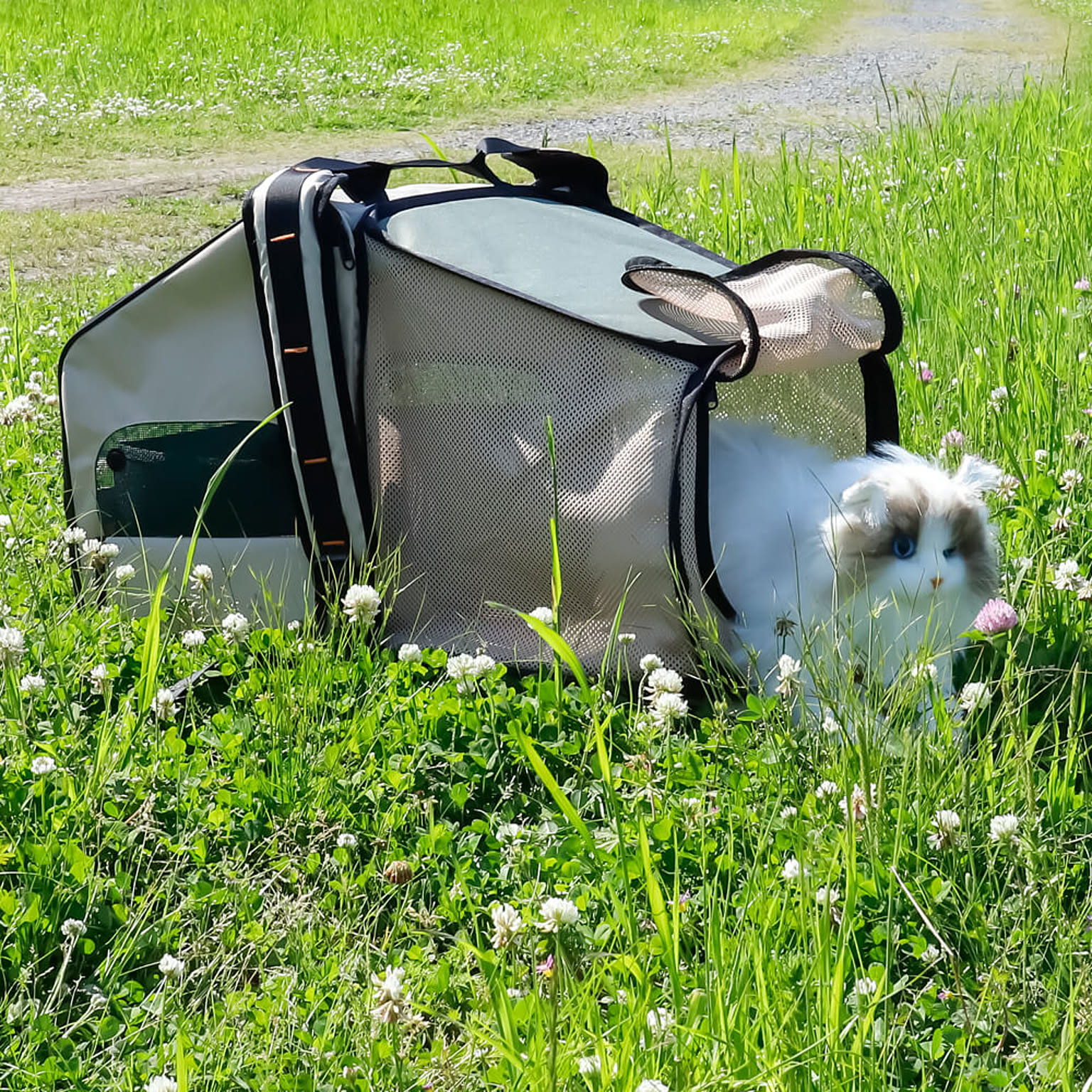 犬用インテリア・犬用家具