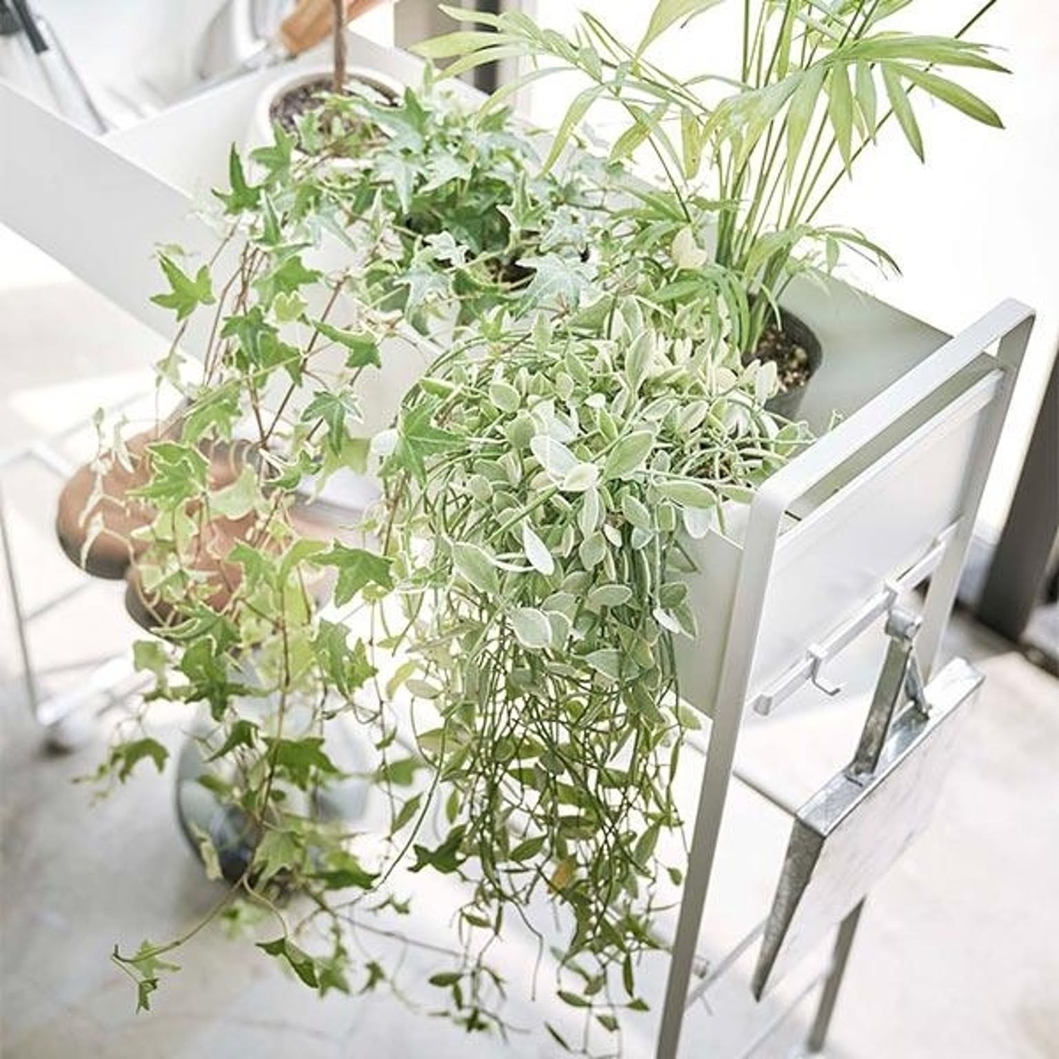 玄関小物収納