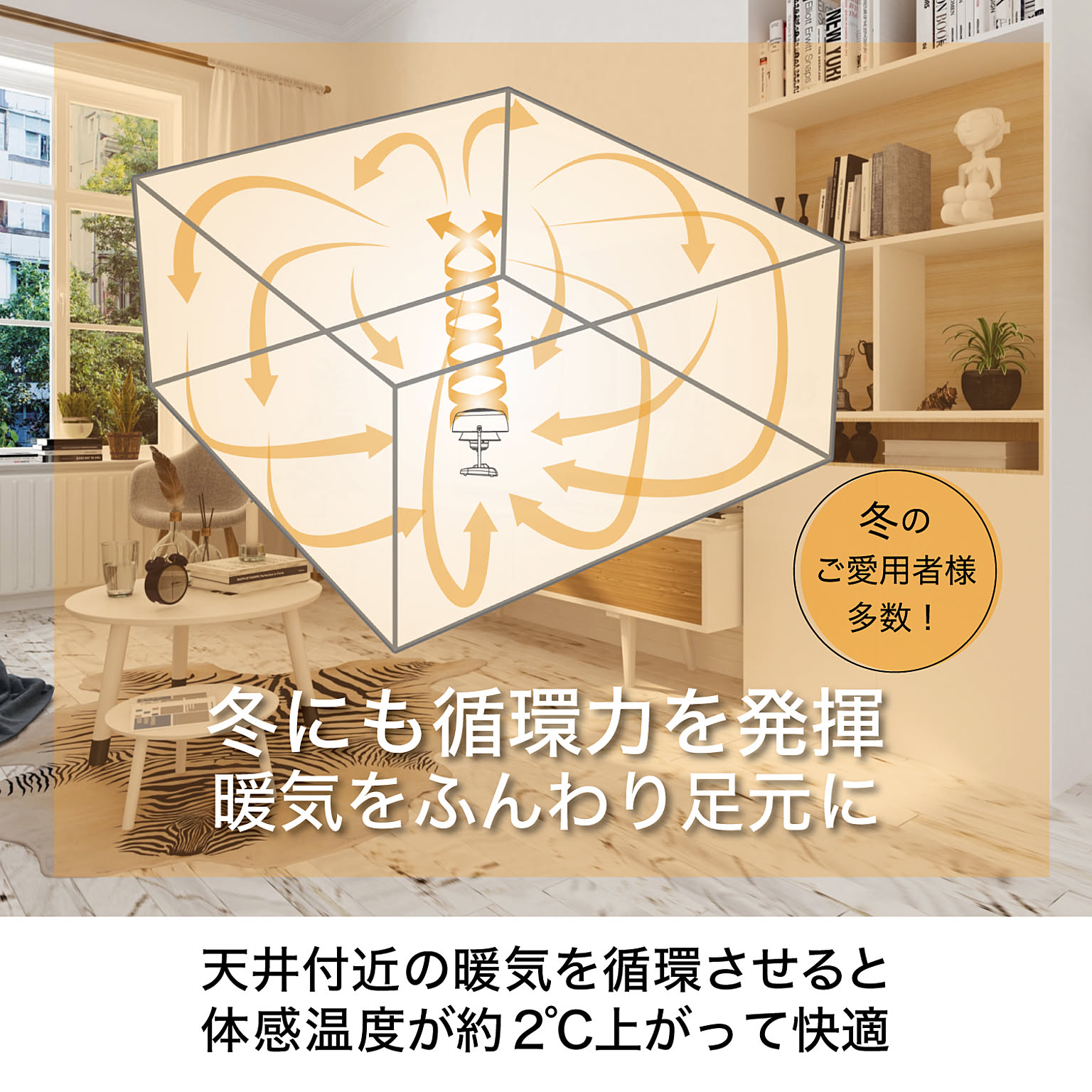 サーキュレーター