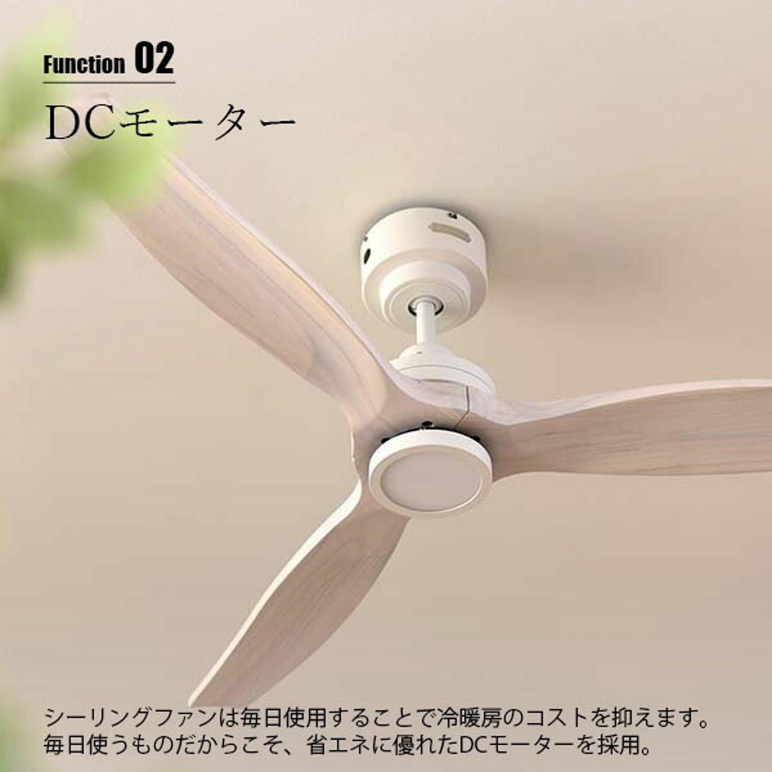 シーリングファンライト