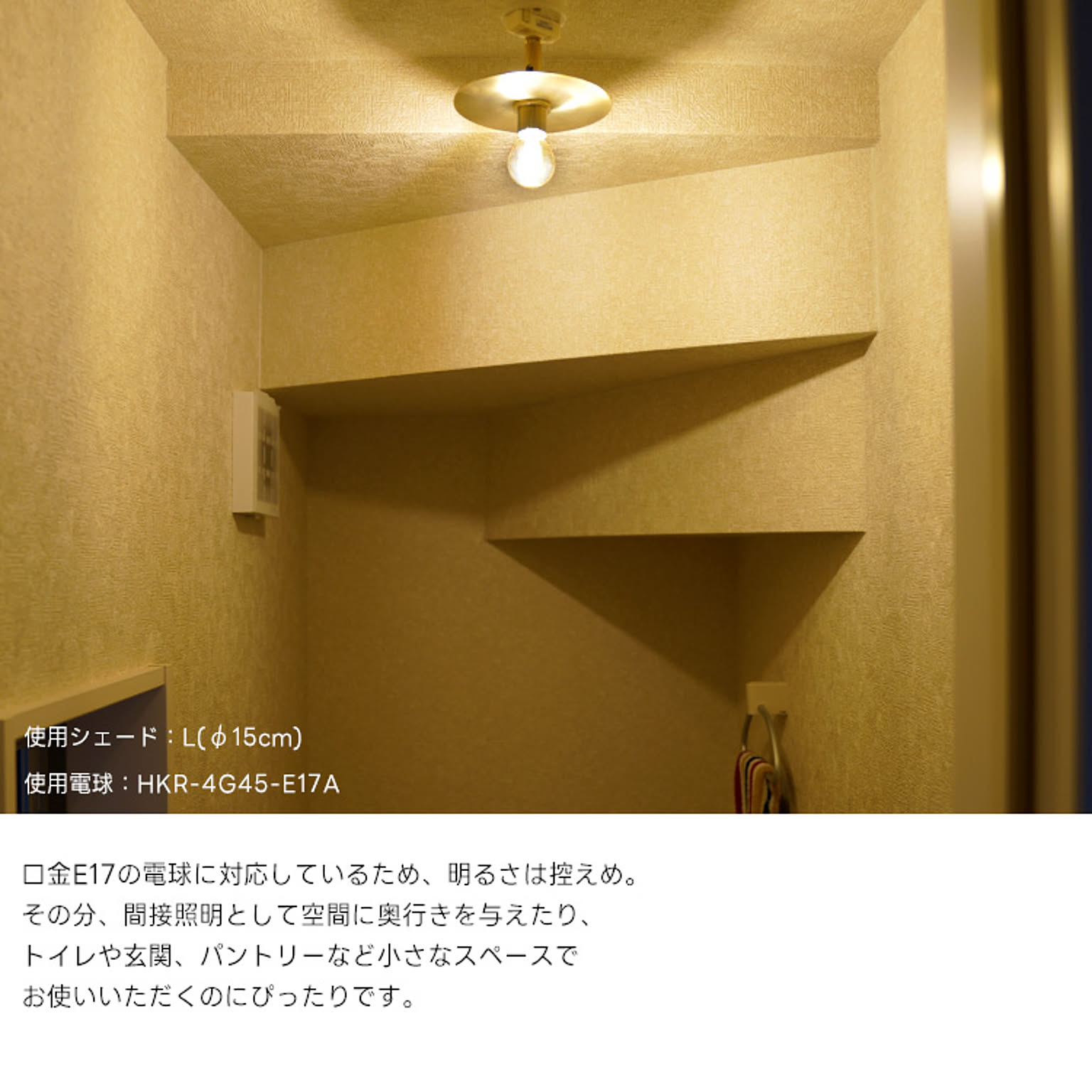 シーリングライト