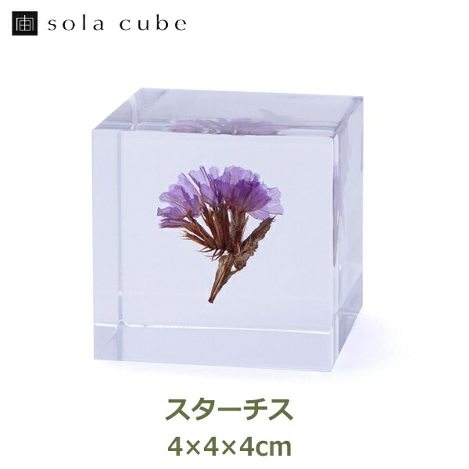 置物・オブジェ