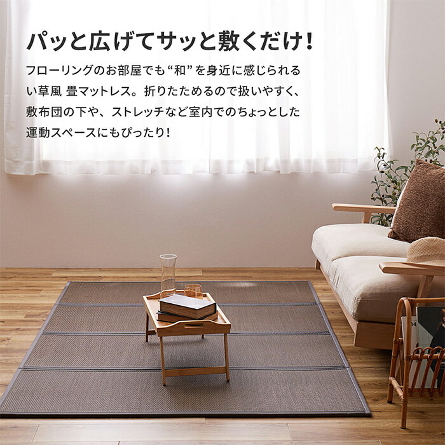 ござ・い草ラグ
