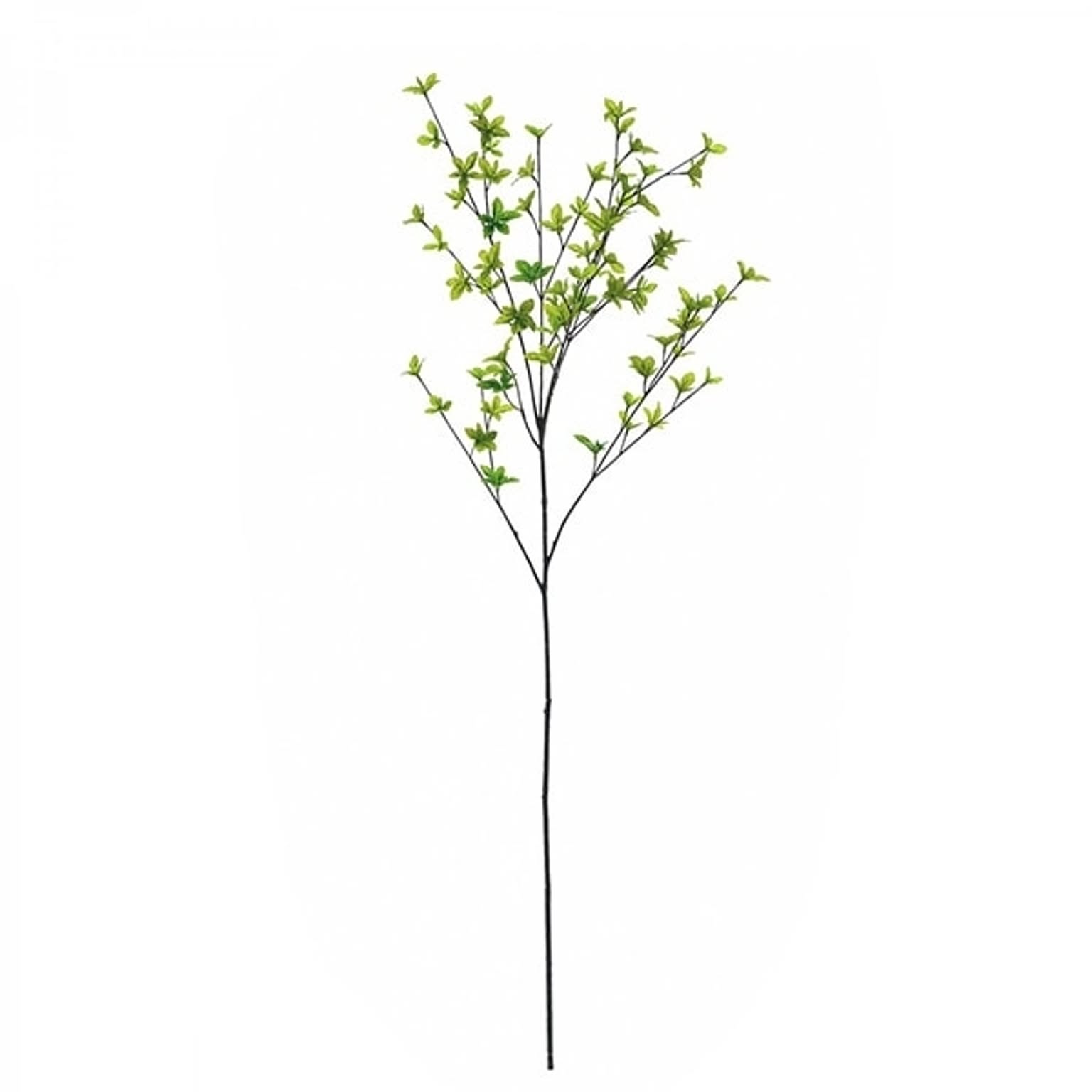PVA-0001 ドウダンツツジ フレッシュグリーン H115cm 単品花材 / GREENPARK プリマ GREENPARK PVA-0001