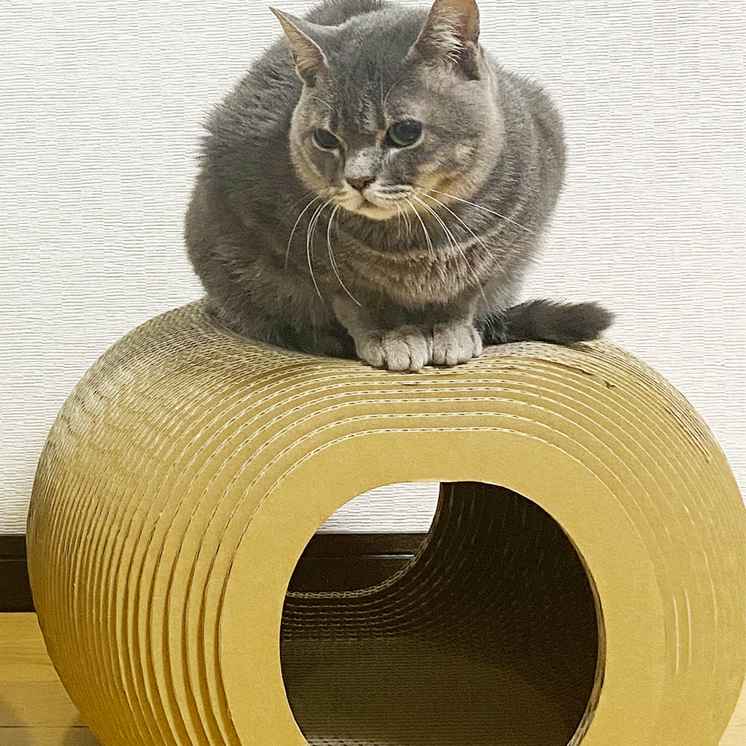 猫用インテリア・猫用家具