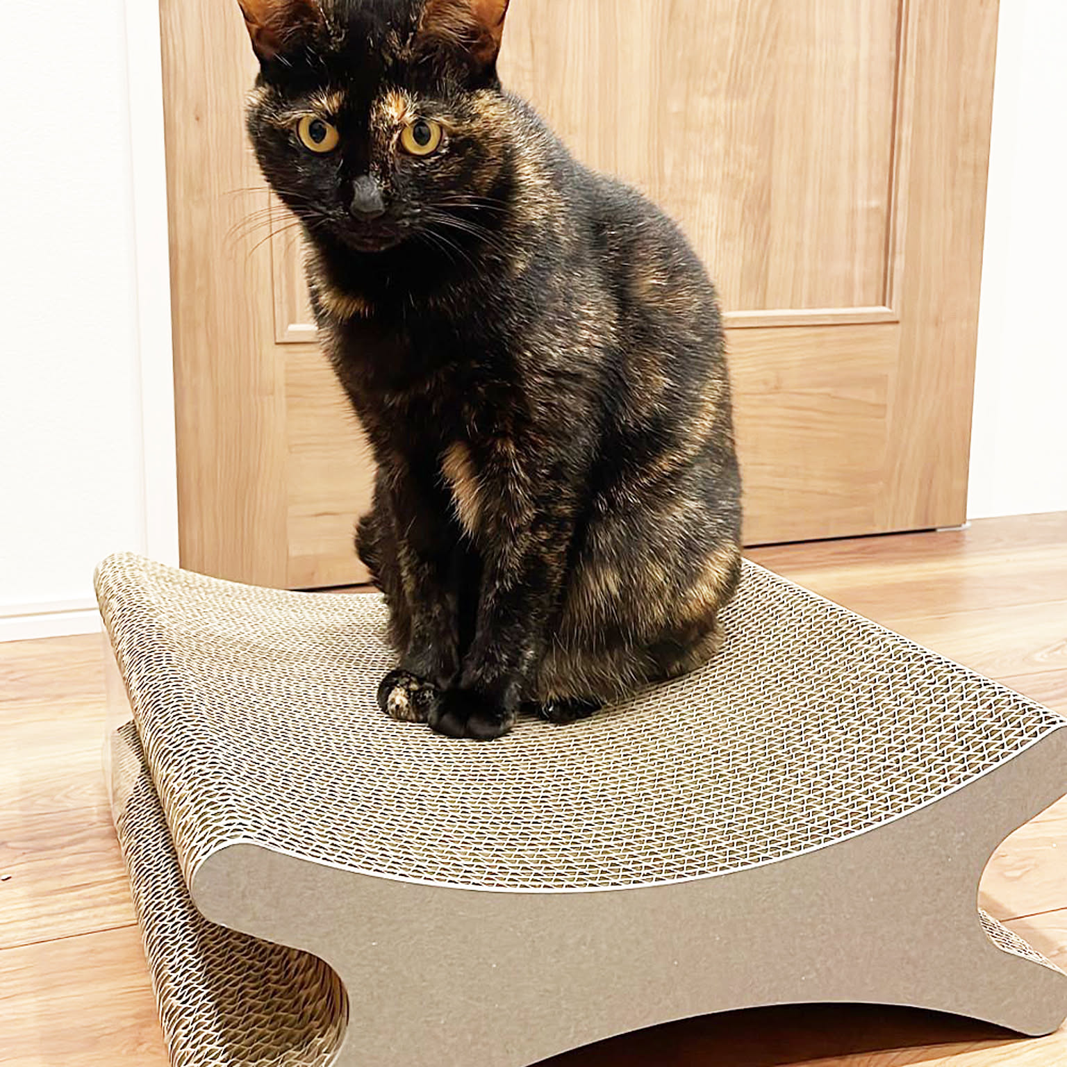 猫用インテリア・猫用家具