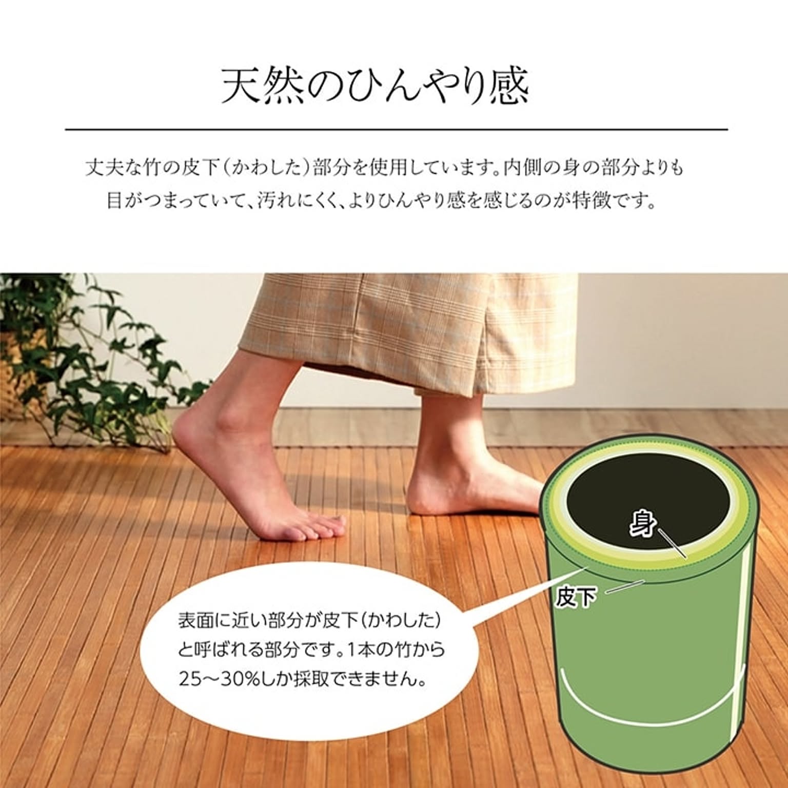 ござ・い草ラグ