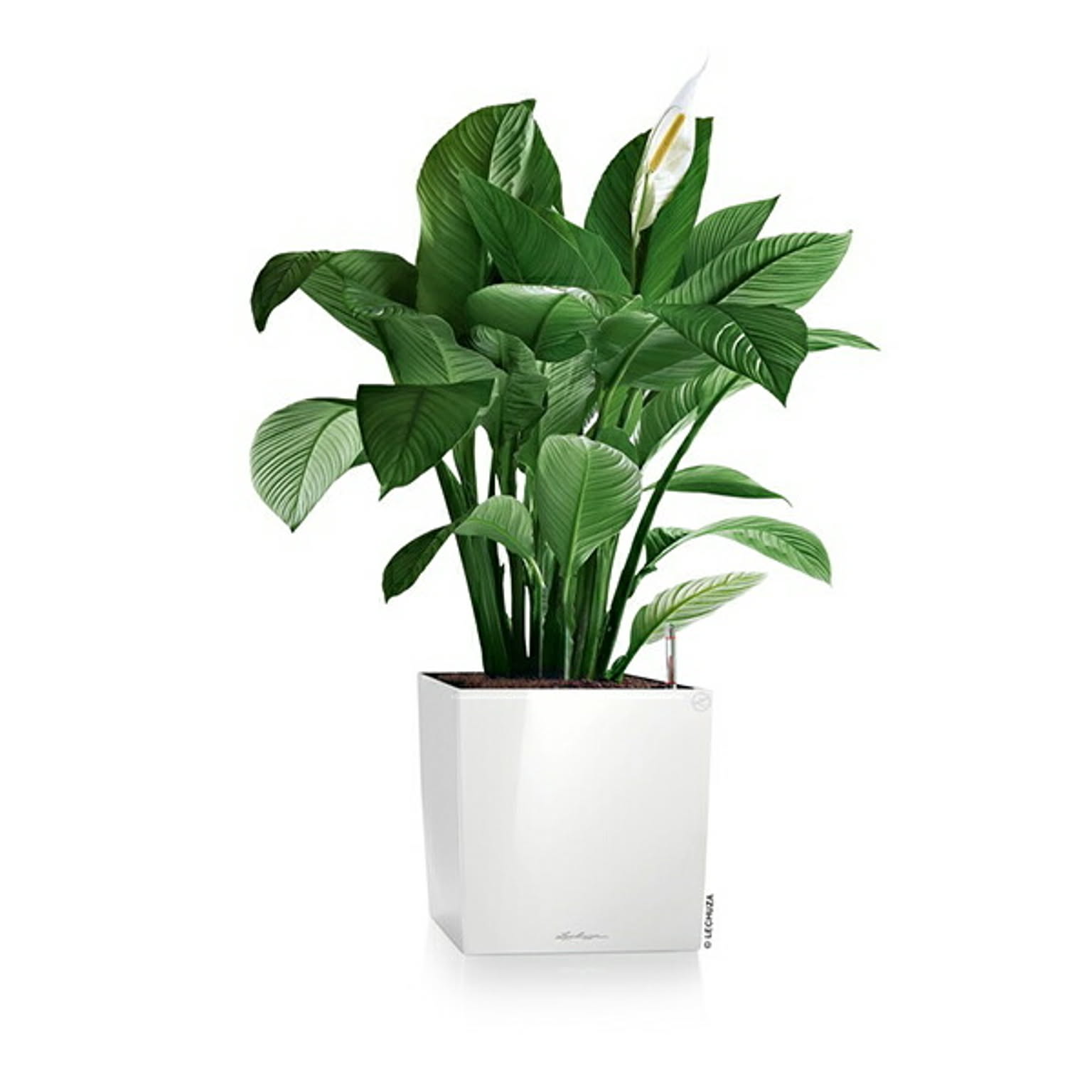 プランター・植木鉢
