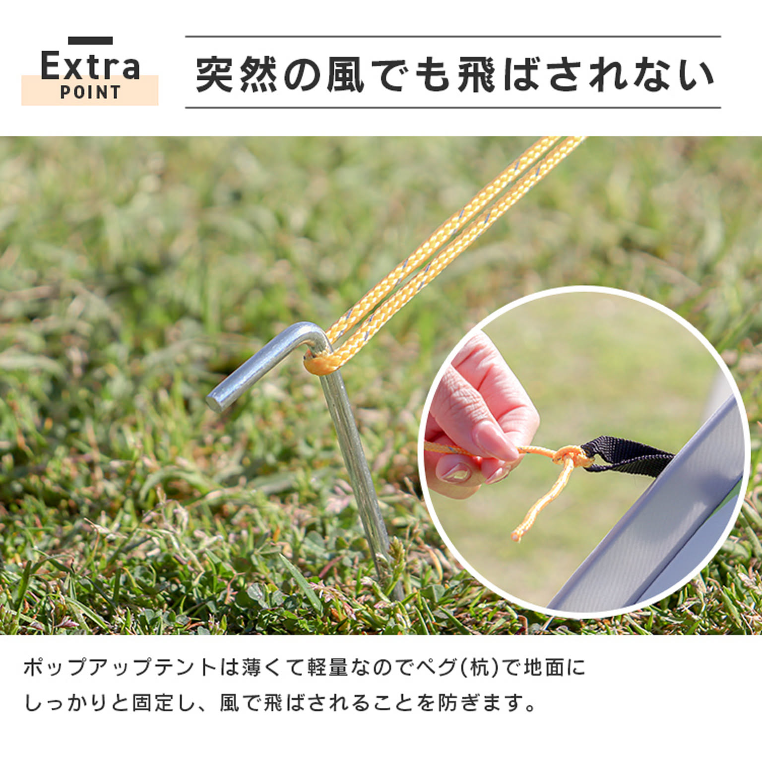 テント