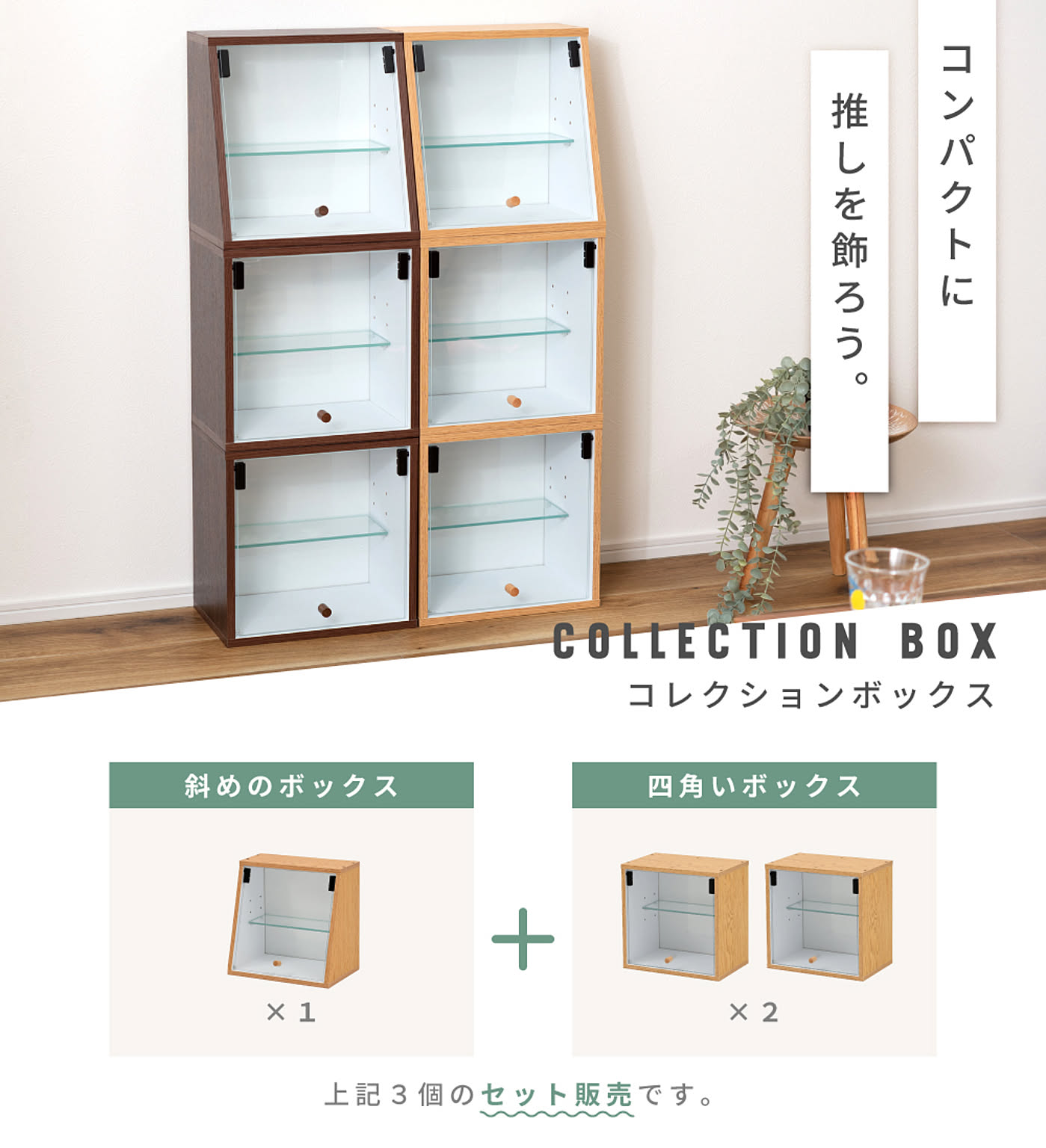 コレクションケース