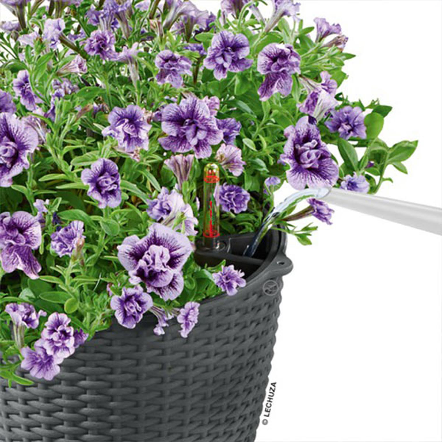 プランター・植木鉢