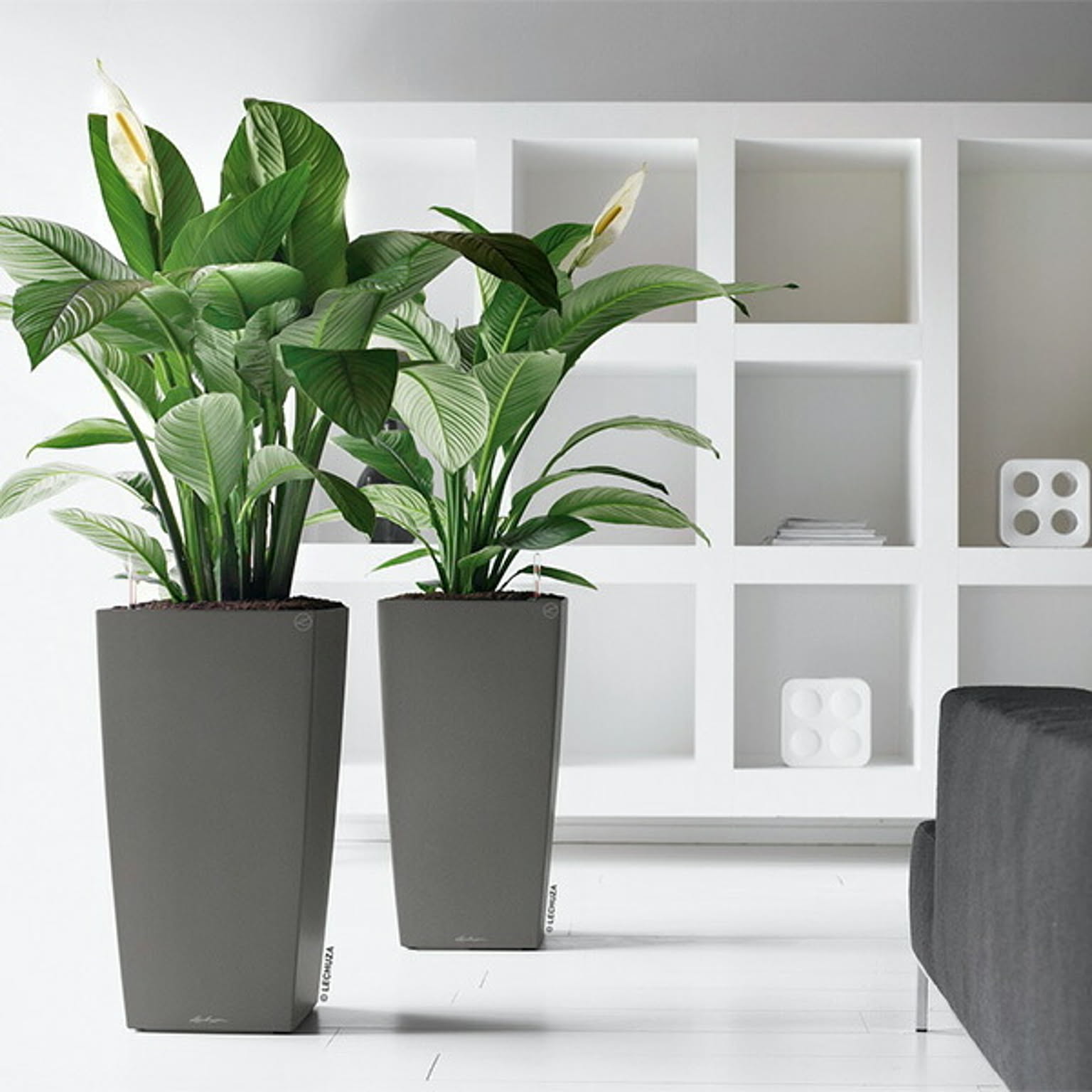 プランター・植木鉢