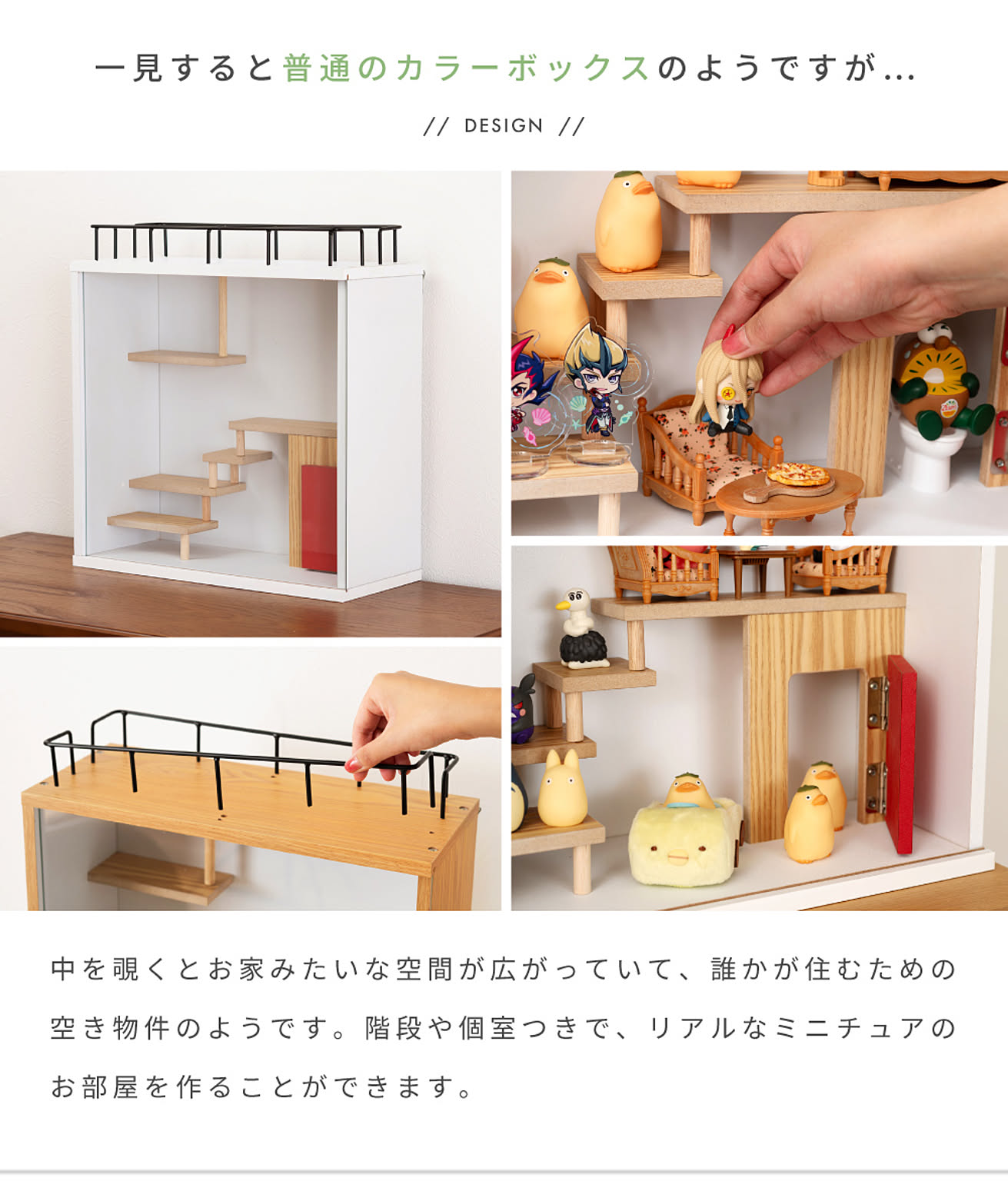 コレクションケース