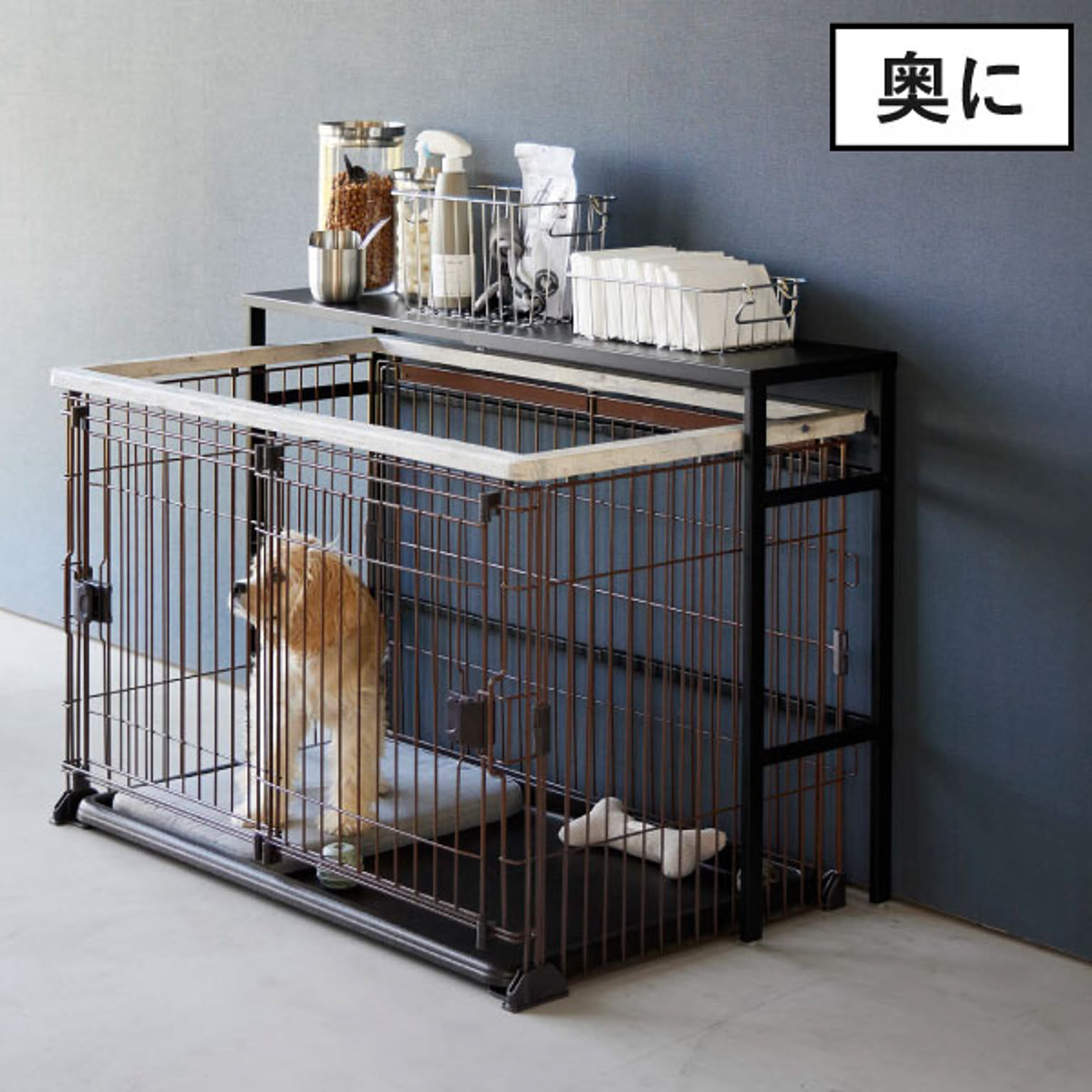 犬用インテリア・犬用家具