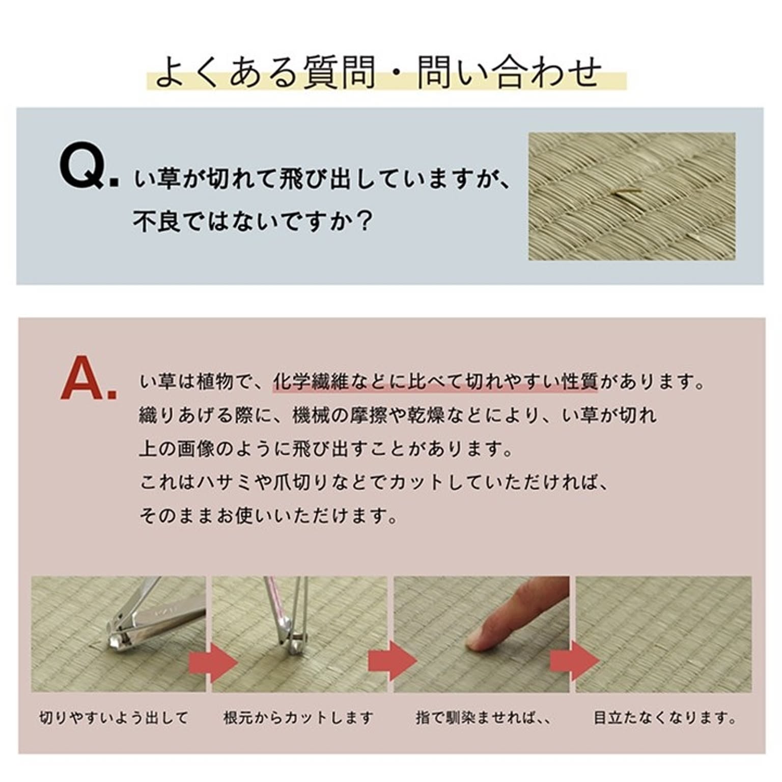ござ・い草ラグ